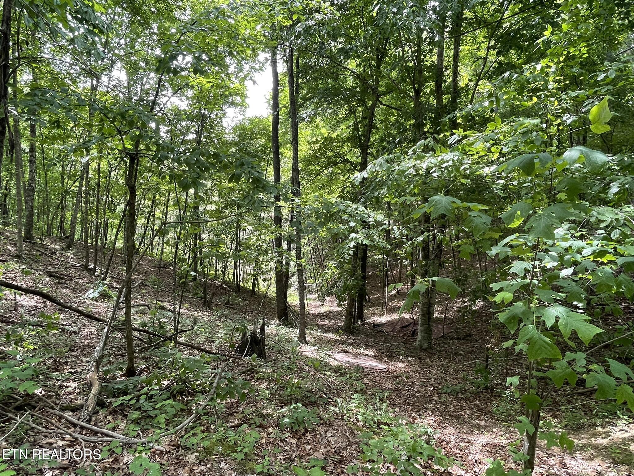 6948 Tazewell Highway Sneedville TN 37869