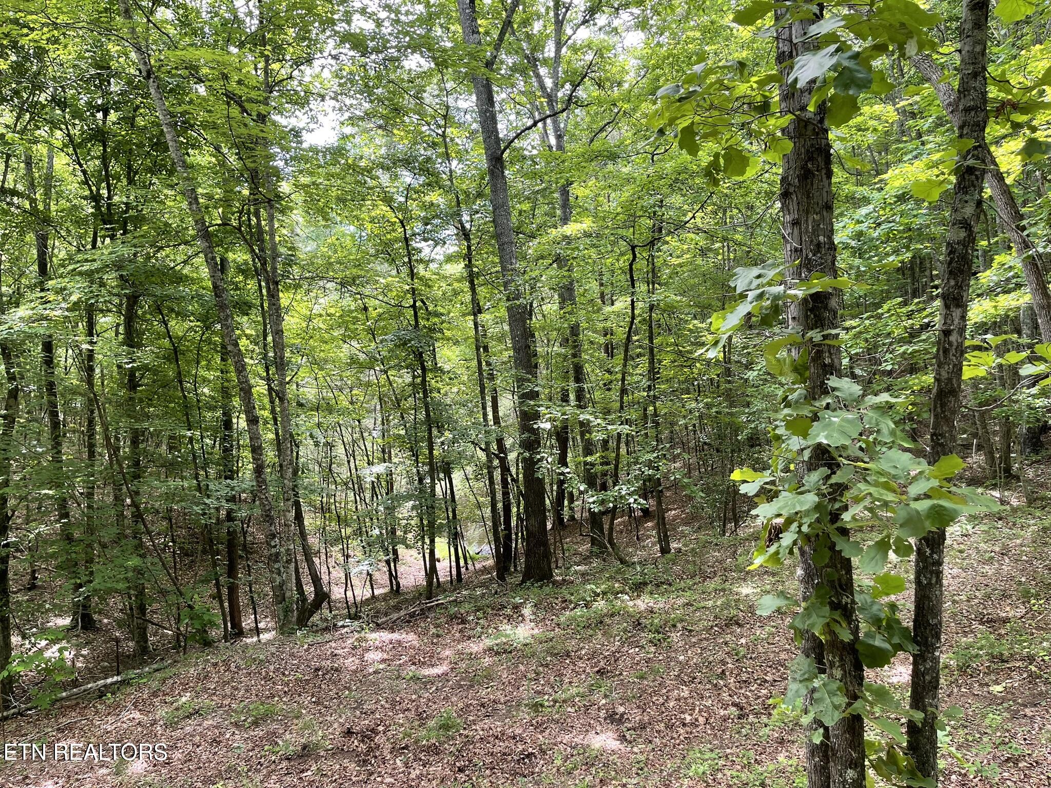 6948 Tazewell Highway Sneedville TN 37869