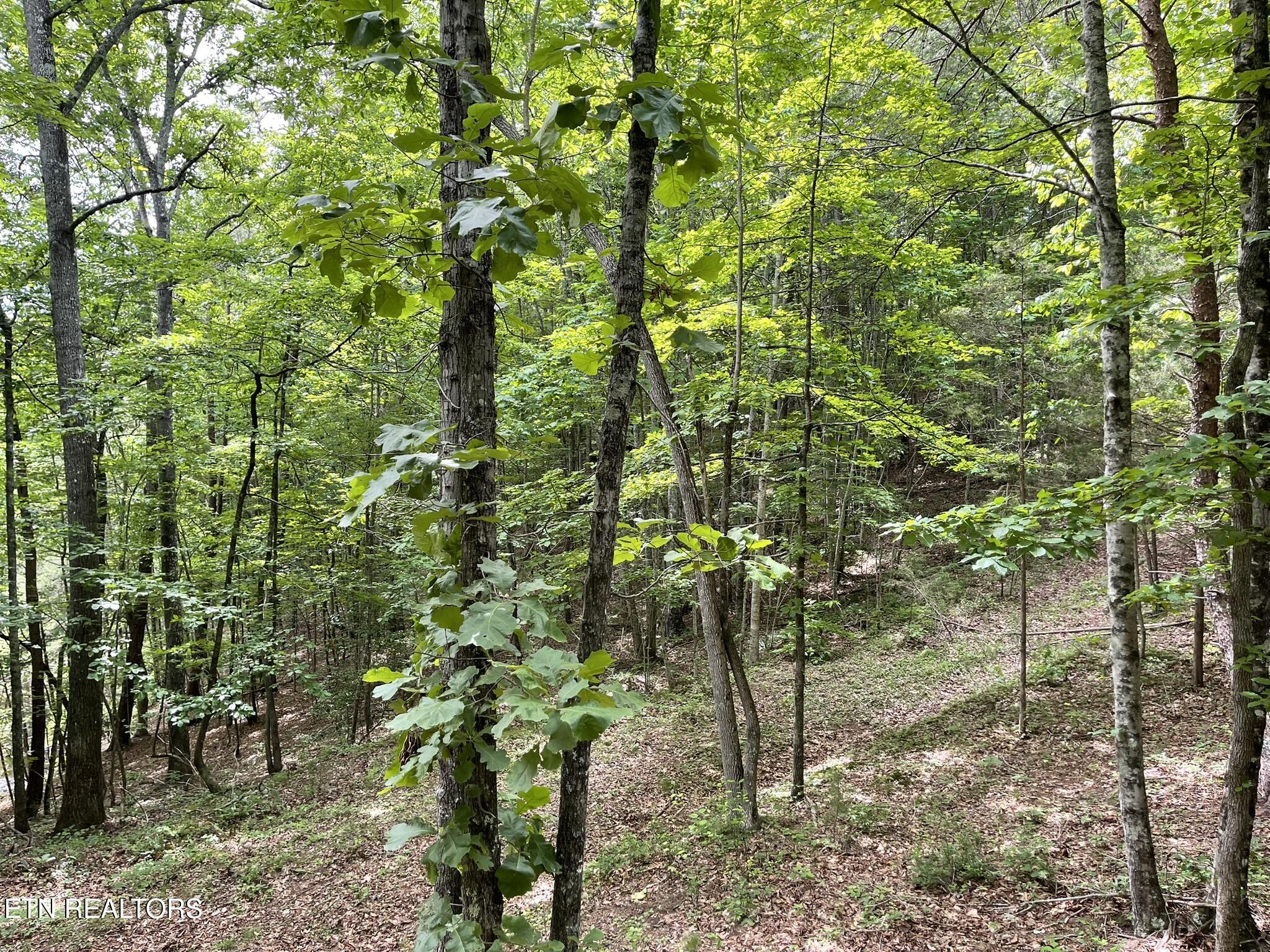 6948 Tazewell Highway Sneedville TN 37869