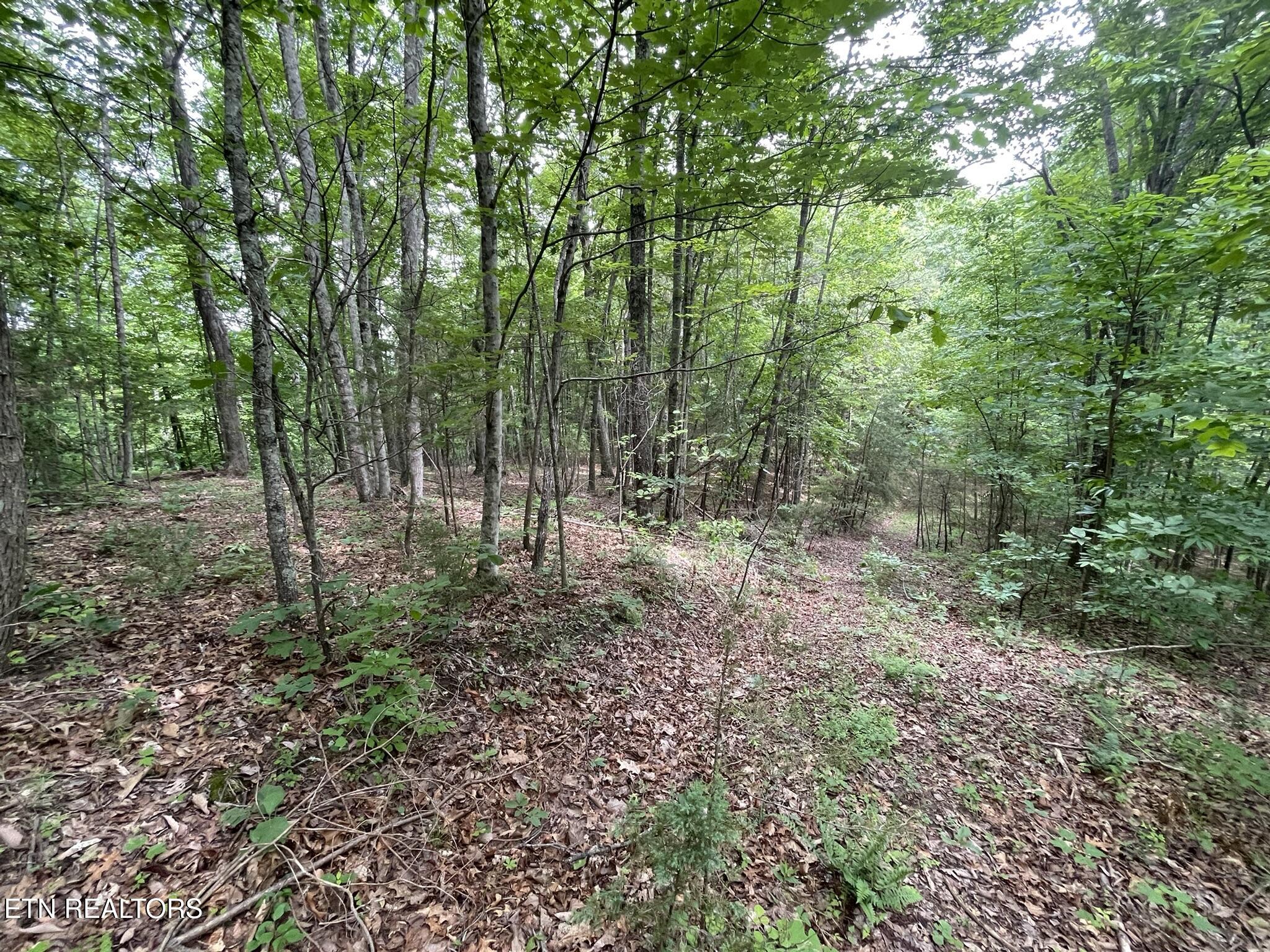 6948 Tazewell Highway Sneedville TN 37869