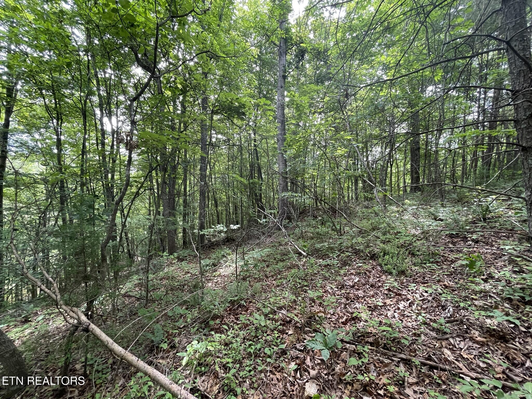 6948 Tazewell Highway Sneedville TN 37869