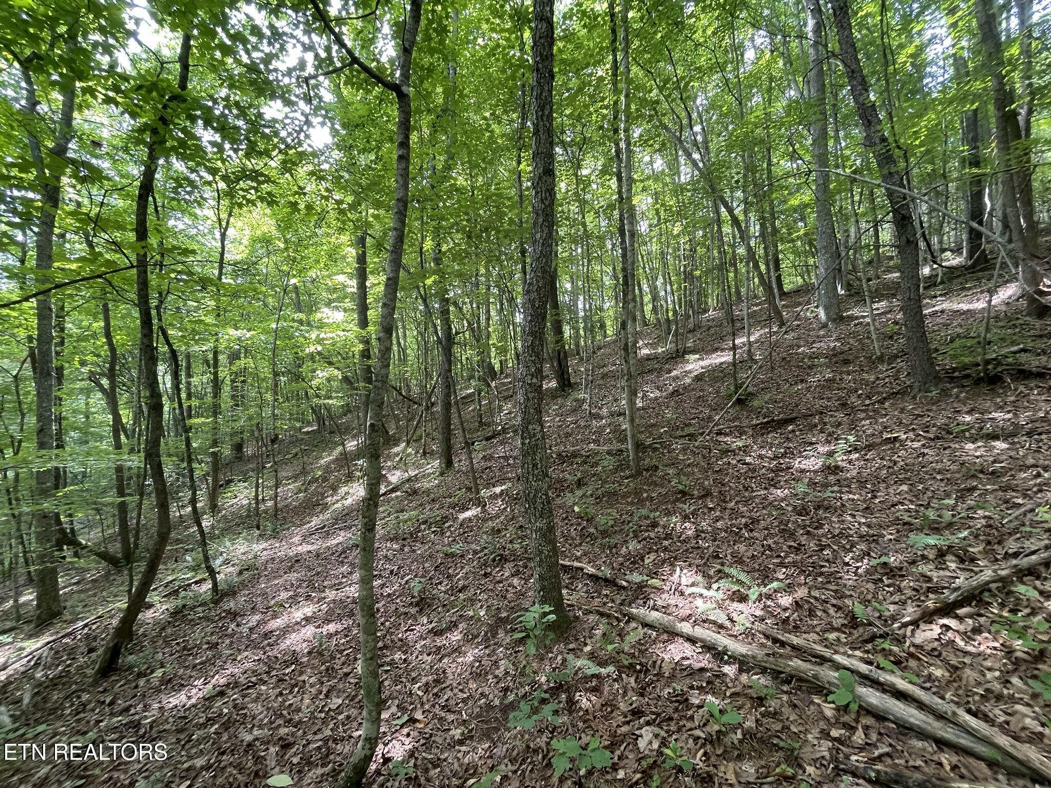 6948 Tazewell Highway Sneedville TN 37869