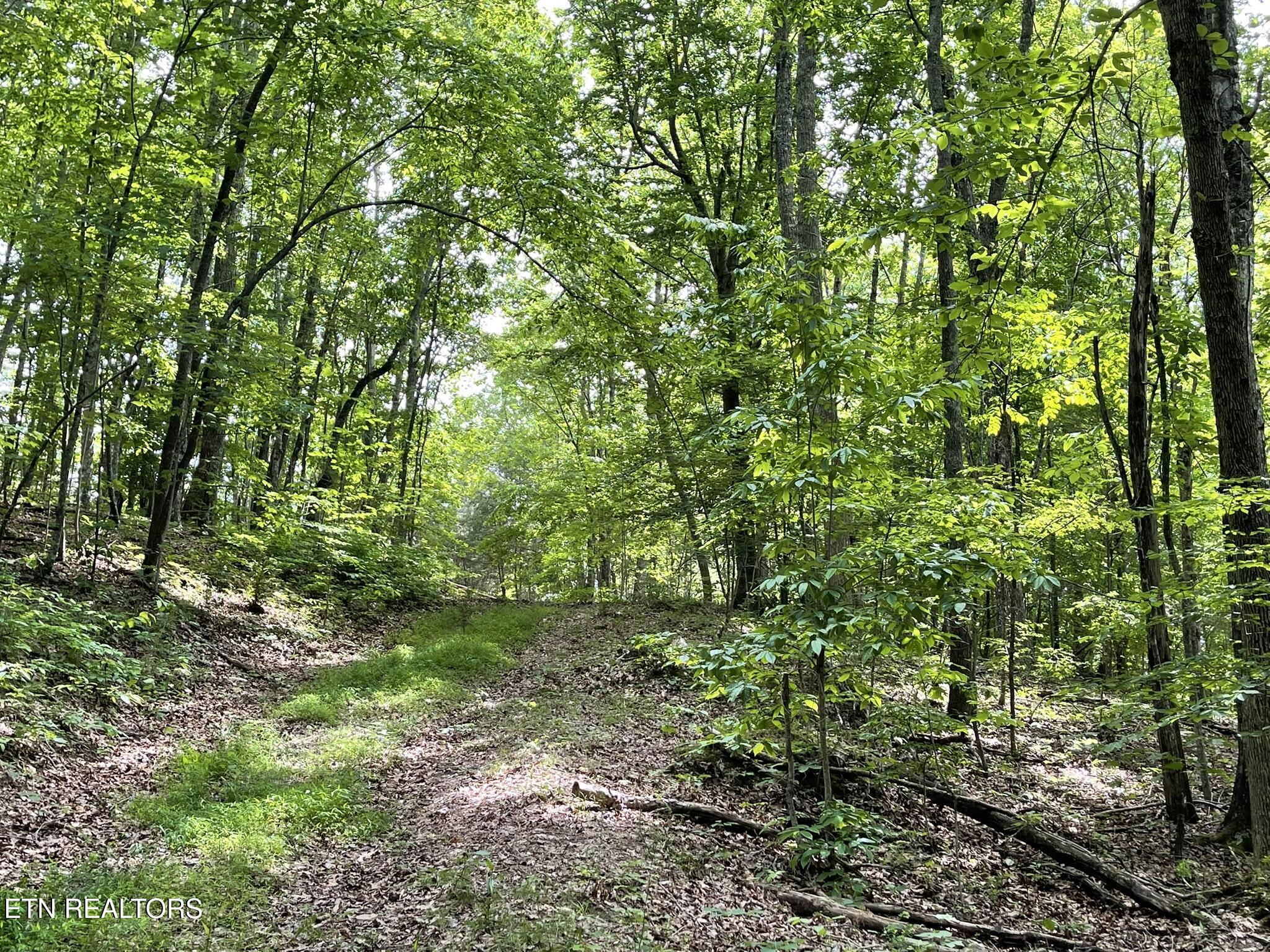 6948 Tazewell Highway Sneedville TN 37869
