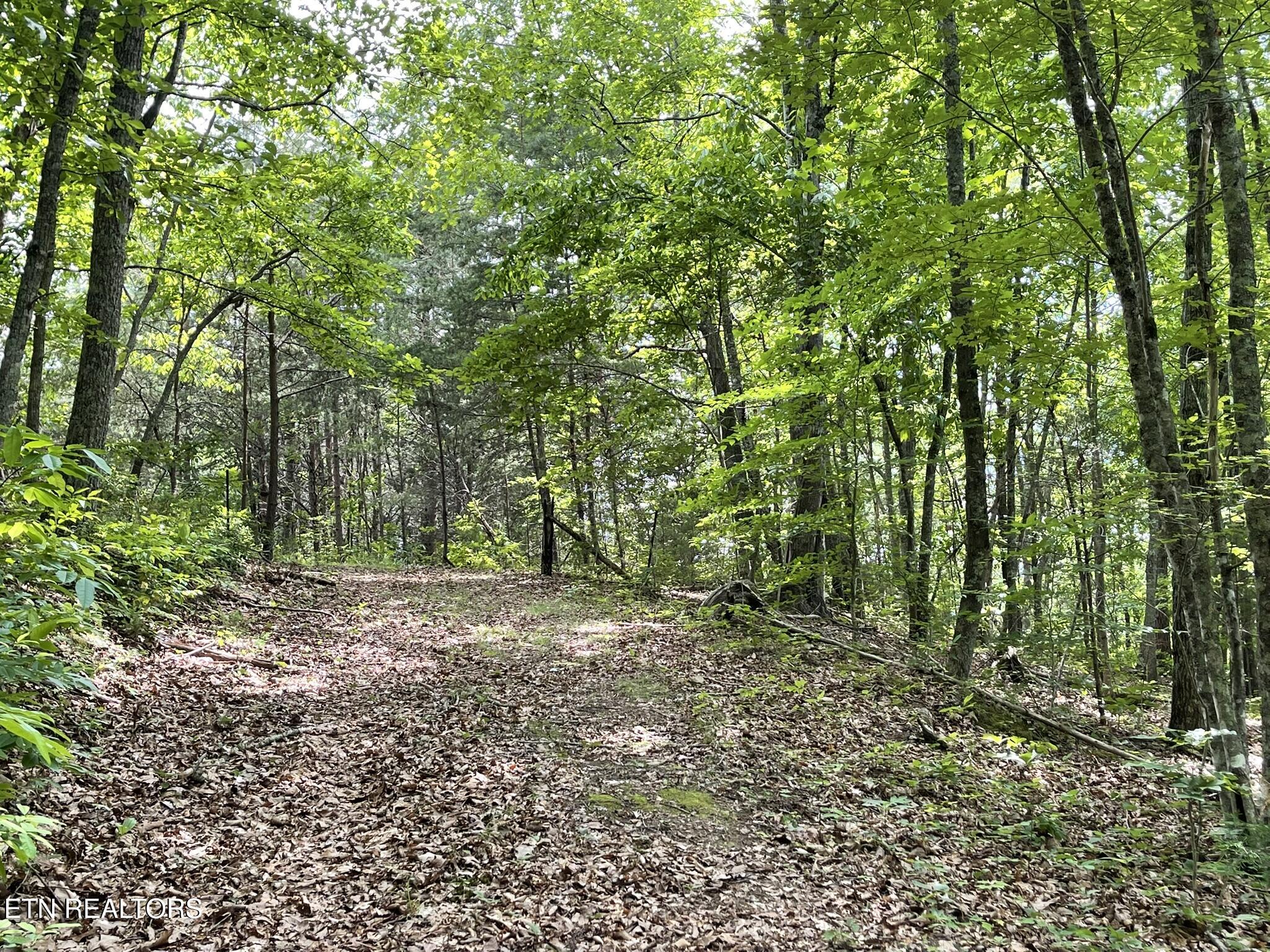 6948 Tazewell Highway Sneedville TN 37869