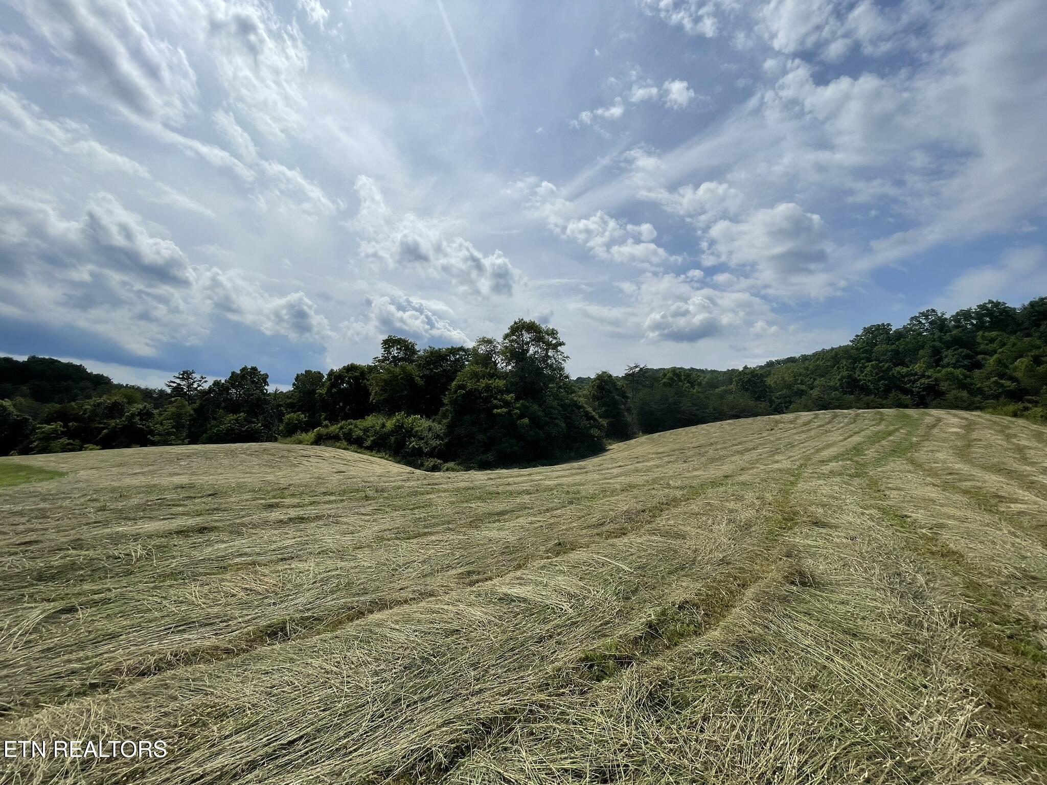 6948 Tazewell Highway Sneedville TN 37869