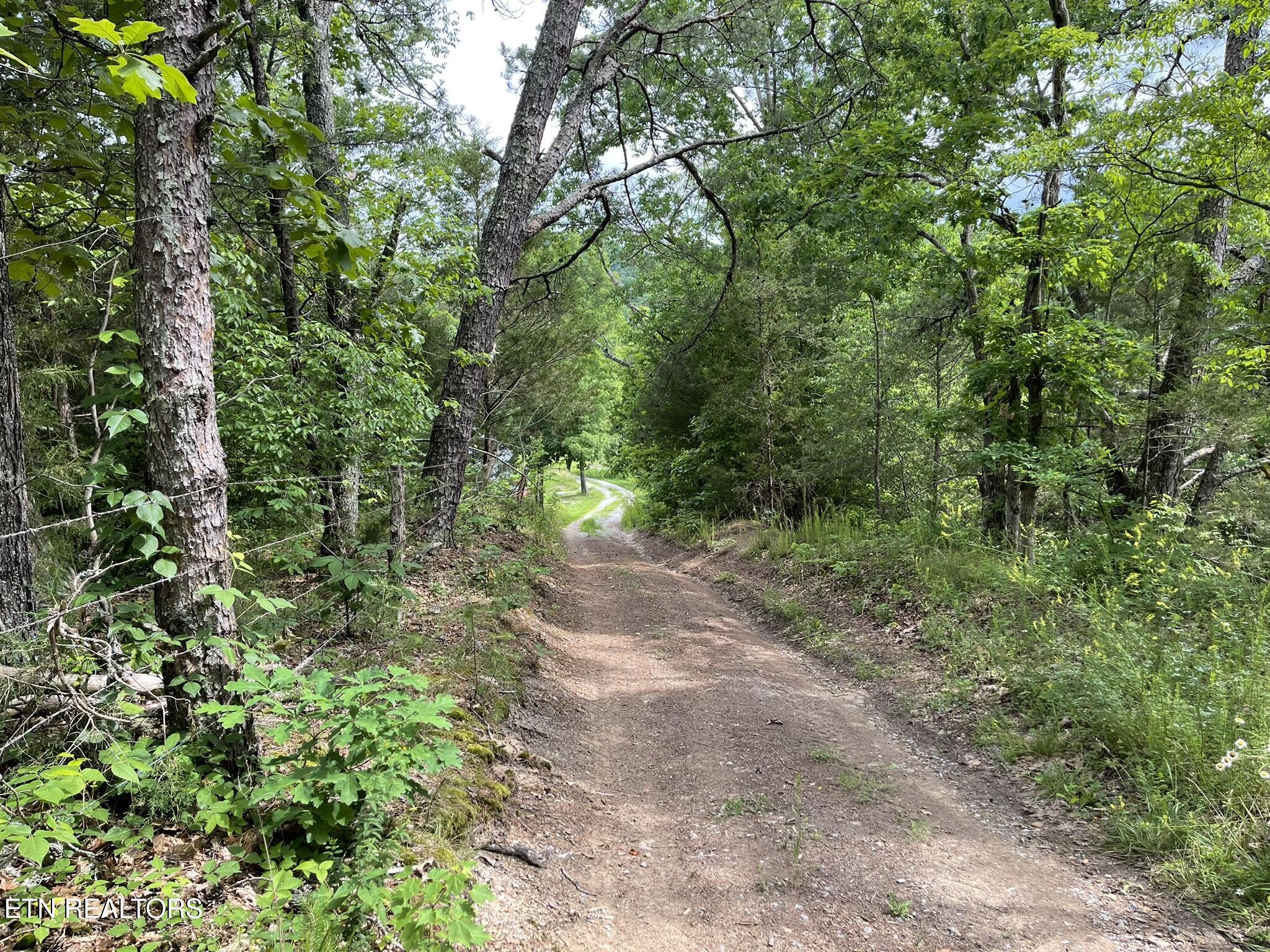 6948 Tazewell Highway Sneedville TN 37869