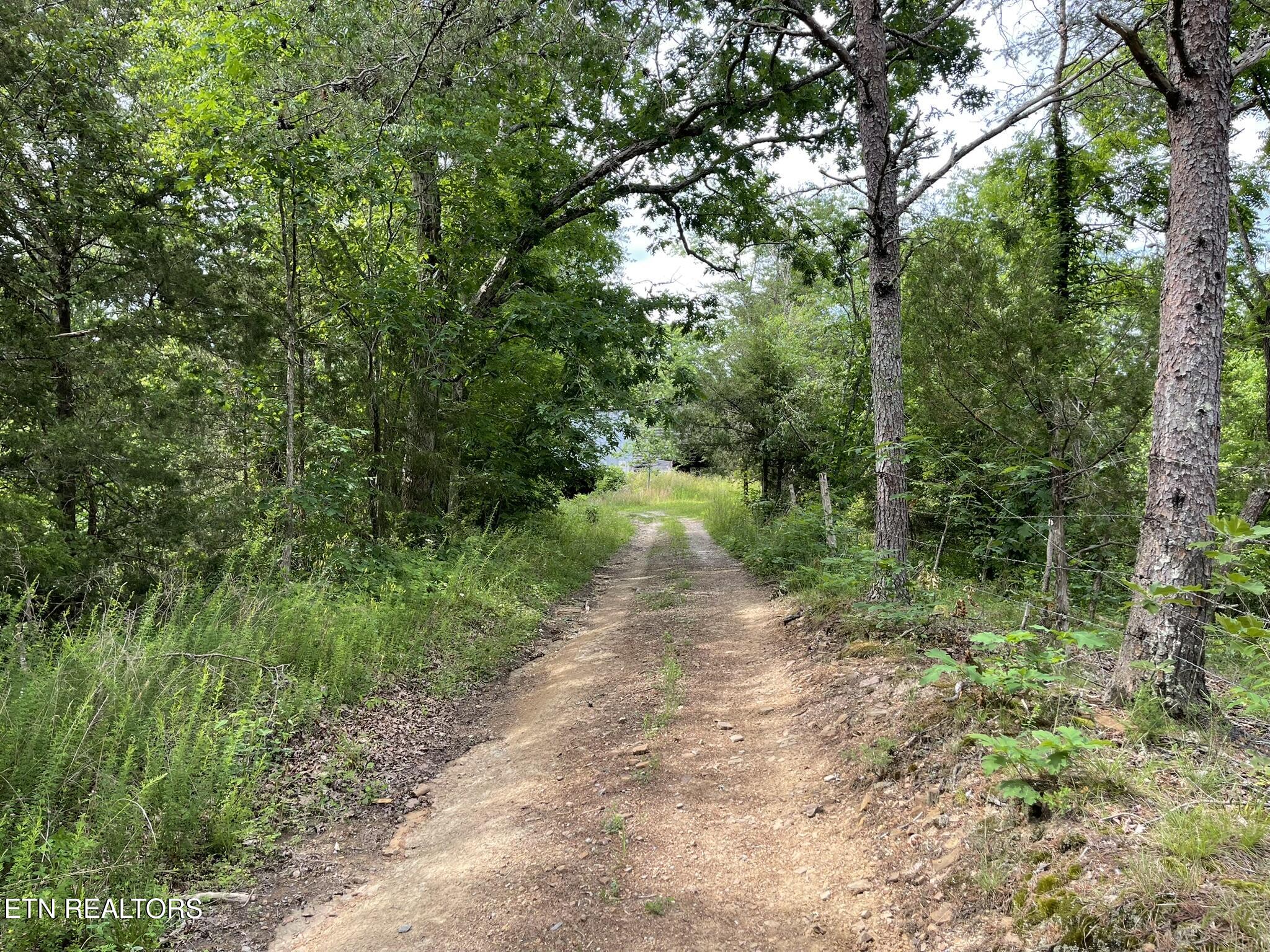 6948 Tazewell Highway Sneedville TN 37869