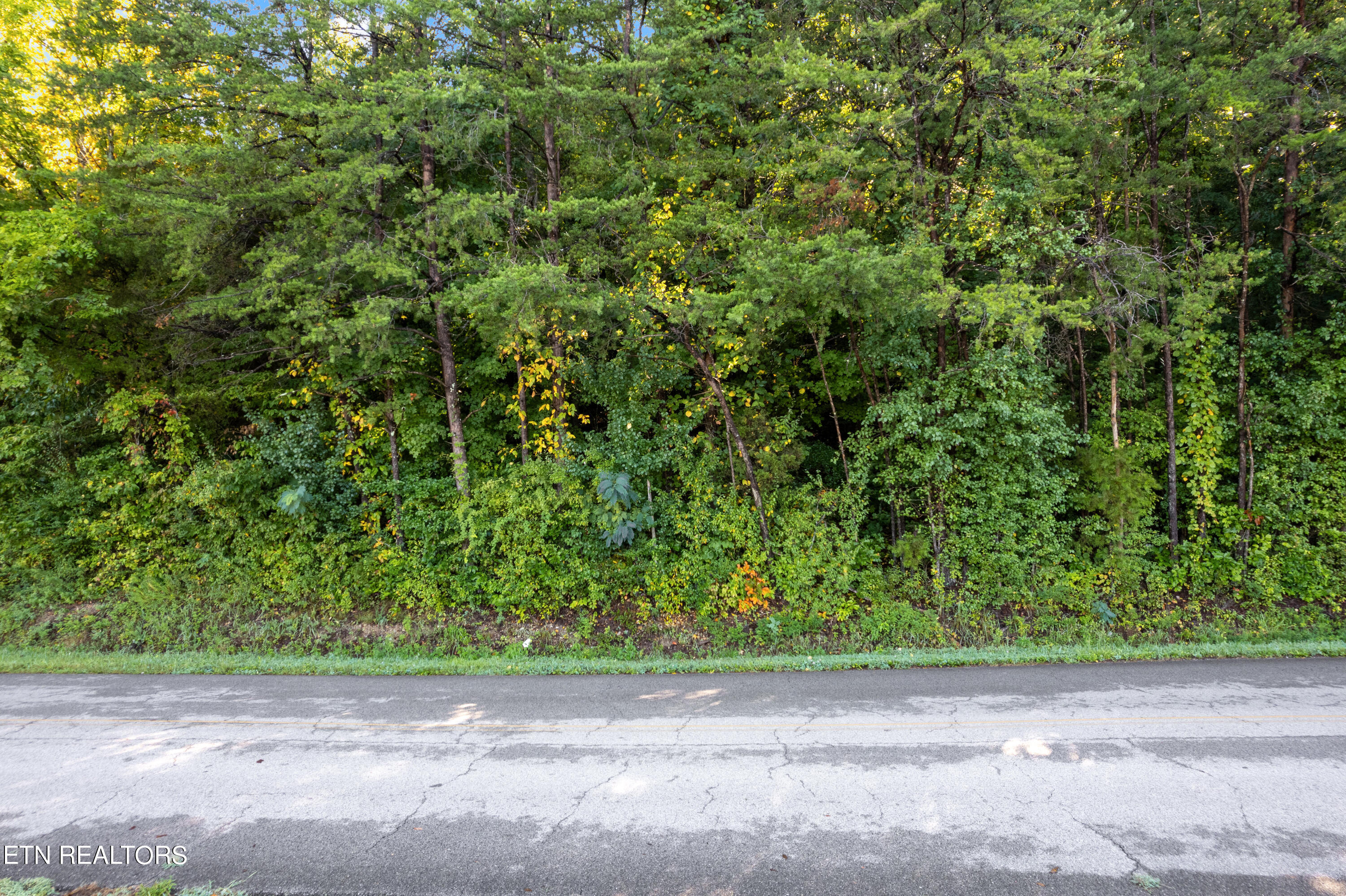 Tbd Delozier Lane Rockwood TN 37854