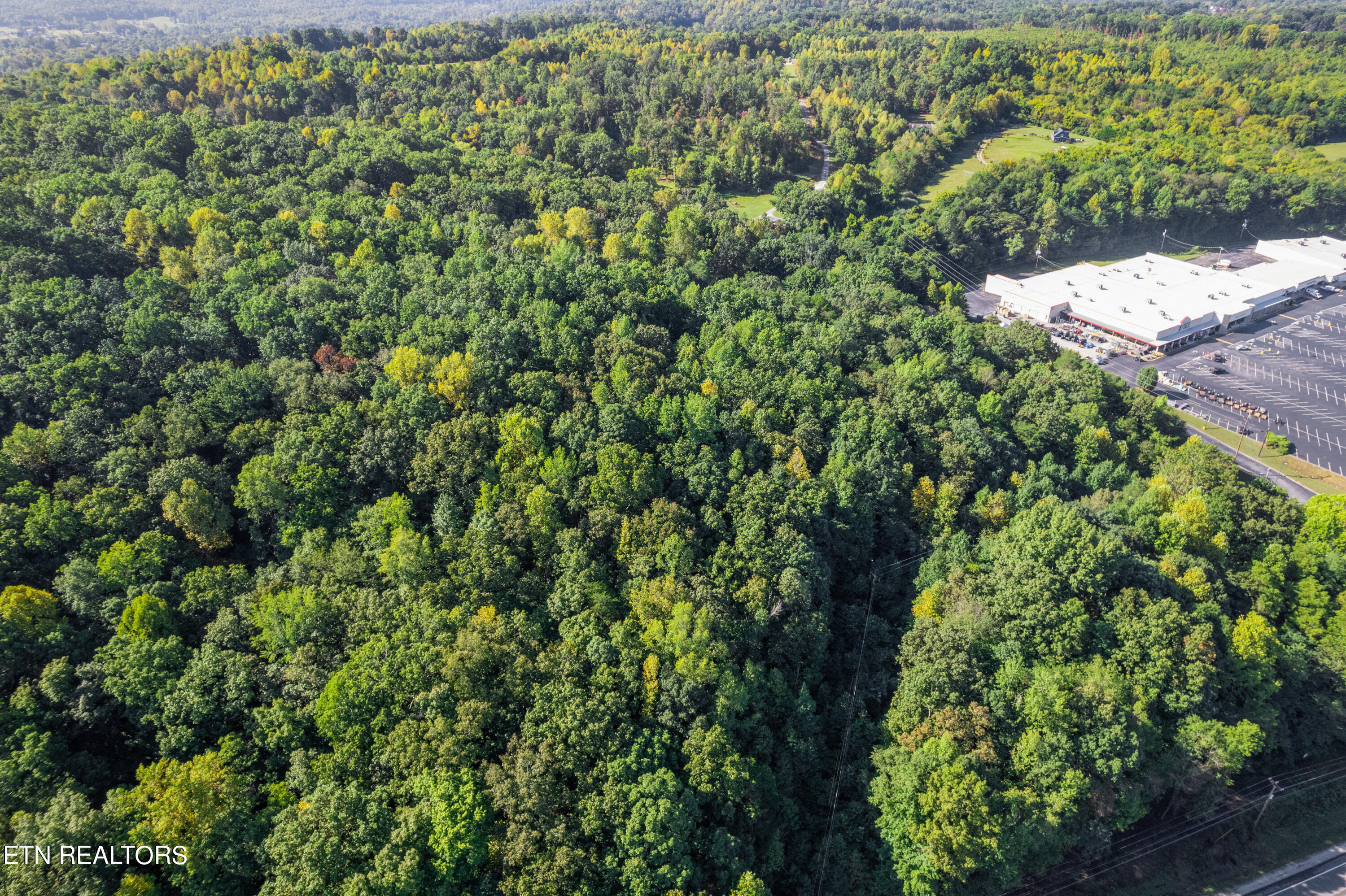 Tbd Delozier Lane Rockwood TN 37854