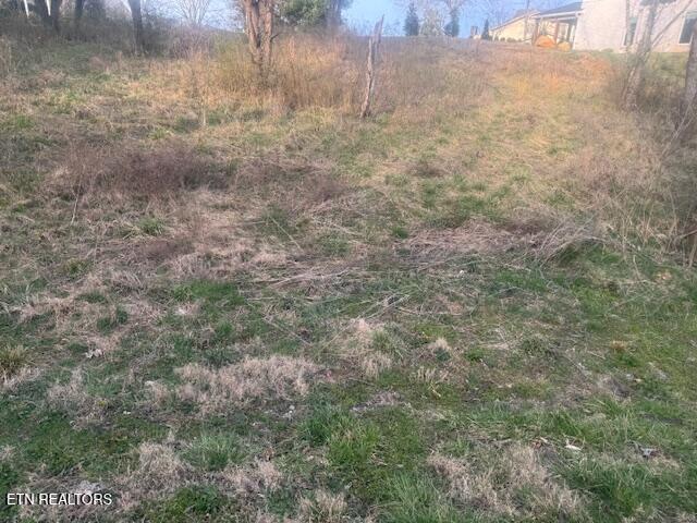 120 Chuniloti Way Loudon TN 37774