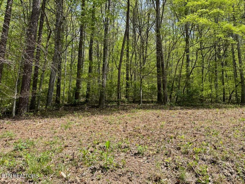 Cabin Road Speedwell TN 37870