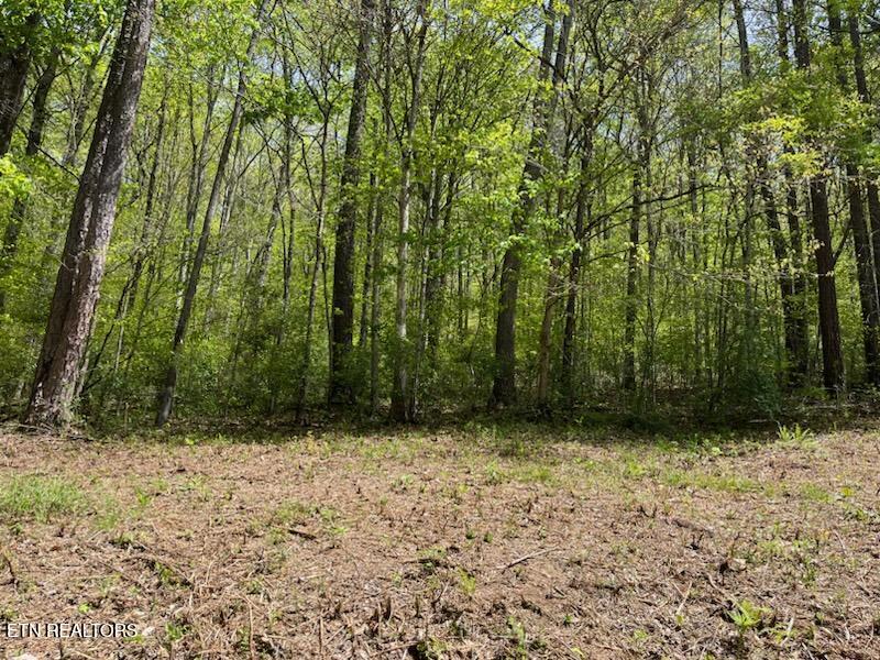 Cabin Road Speedwell TN 37870