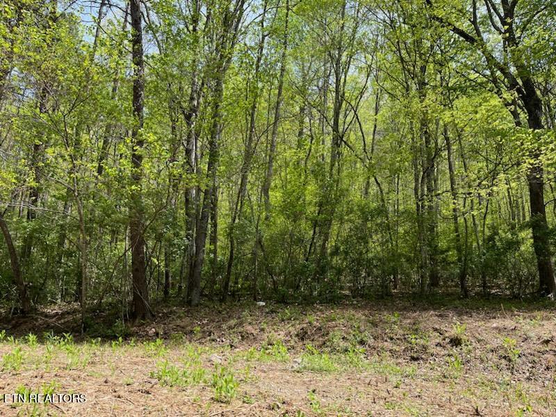 Cabin Road Speedwell TN 37870