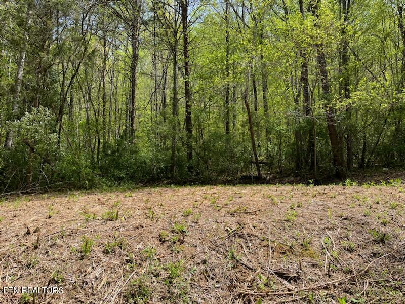 Cabin Road Speedwell TN 37870