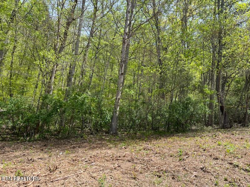 Cabin Road Speedwell TN 37870