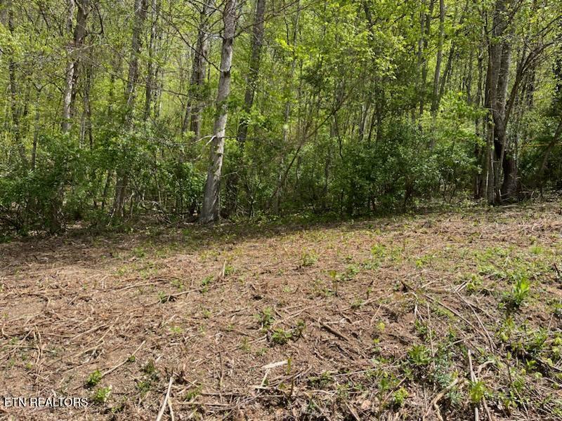 Cabin Road Speedwell TN 37870