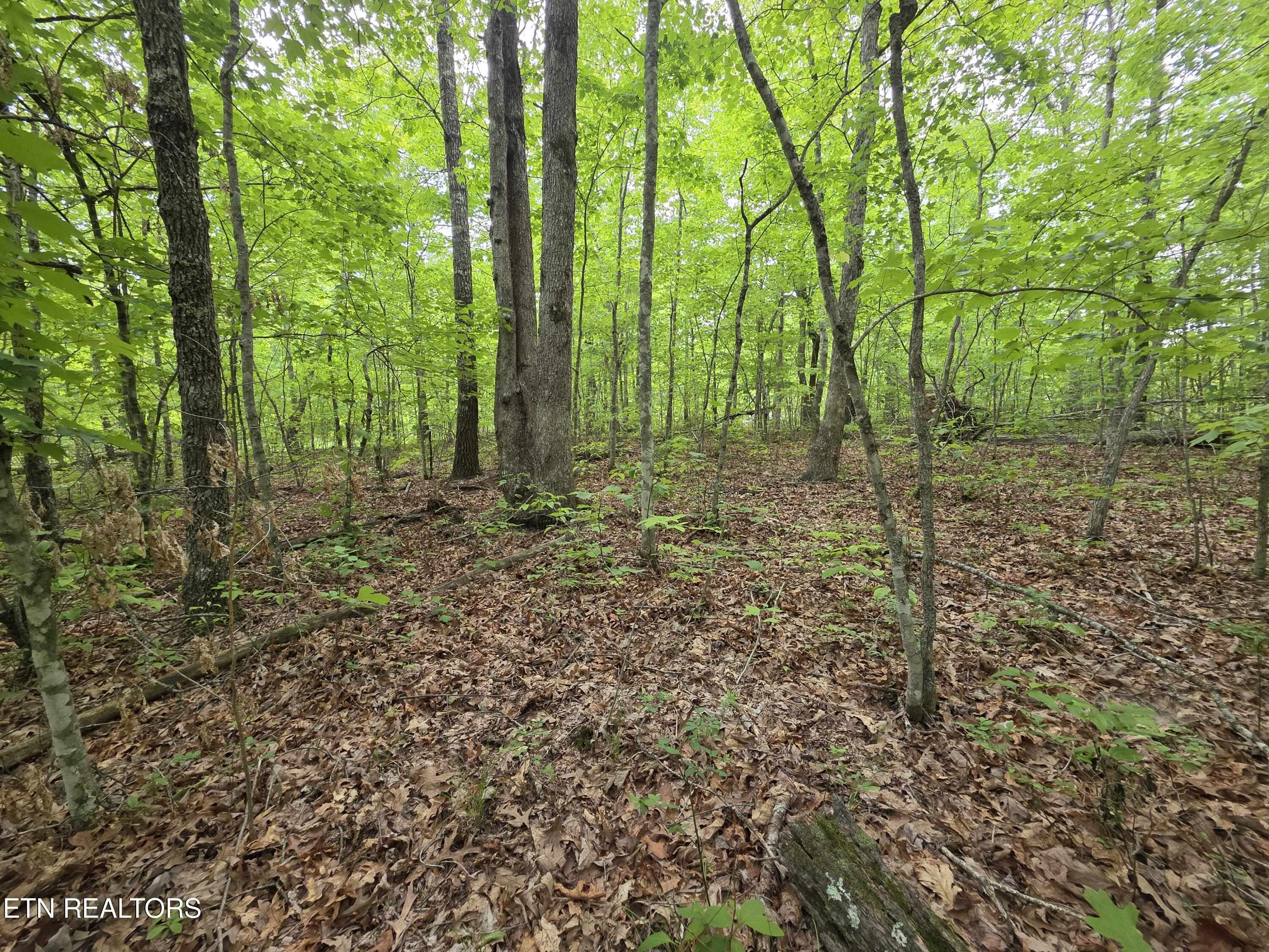 2 Cumberland Lakes Drive Monterey TN 38574
