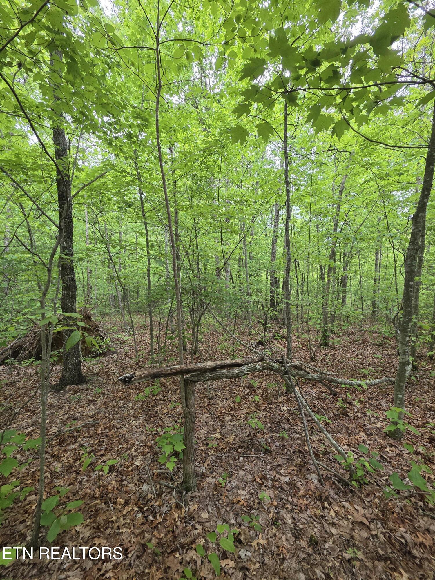 2 Cumberland Lakes Drive Monterey TN 38574
