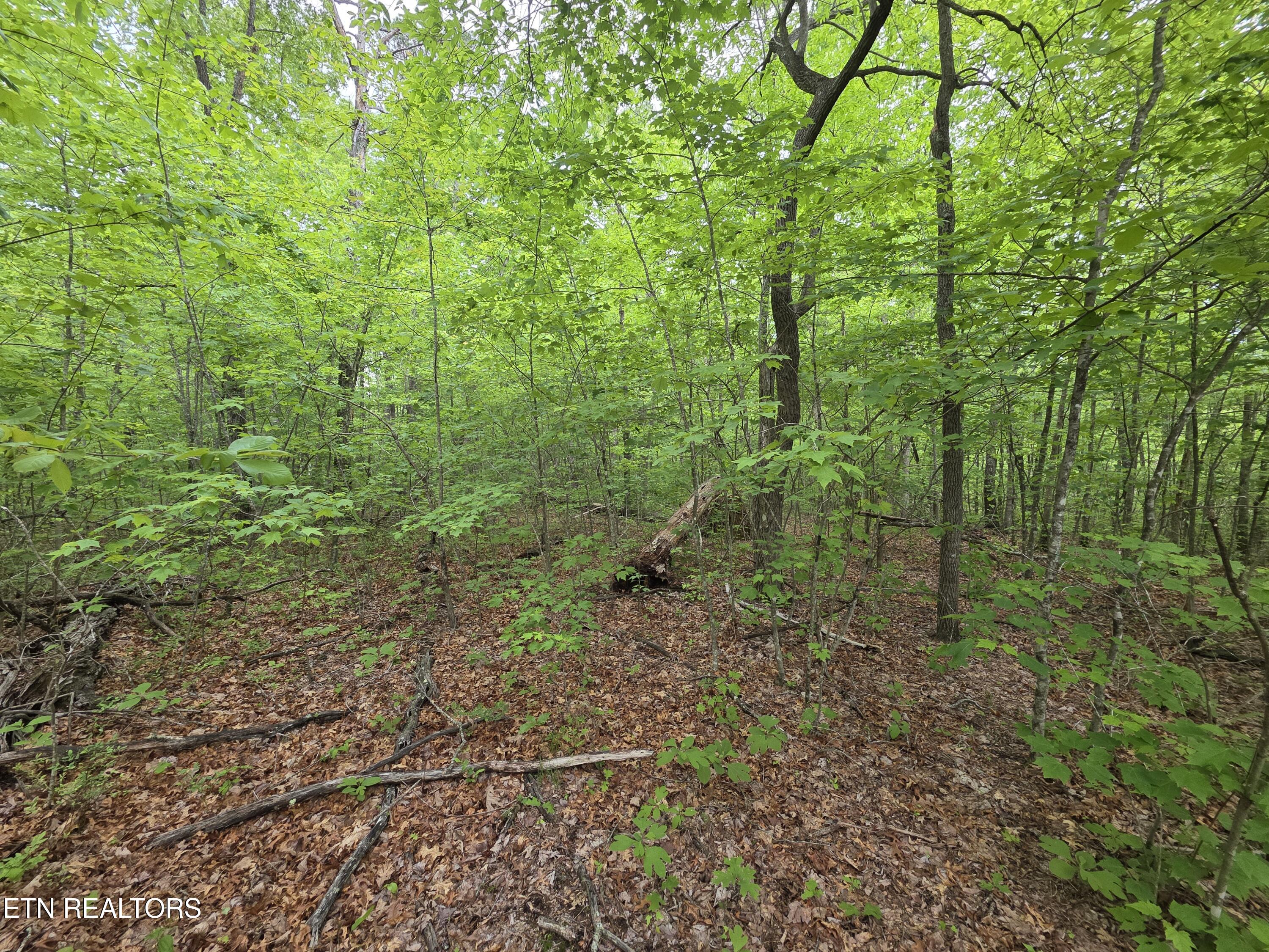 2 Cumberland Lakes Drive Monterey TN 38574