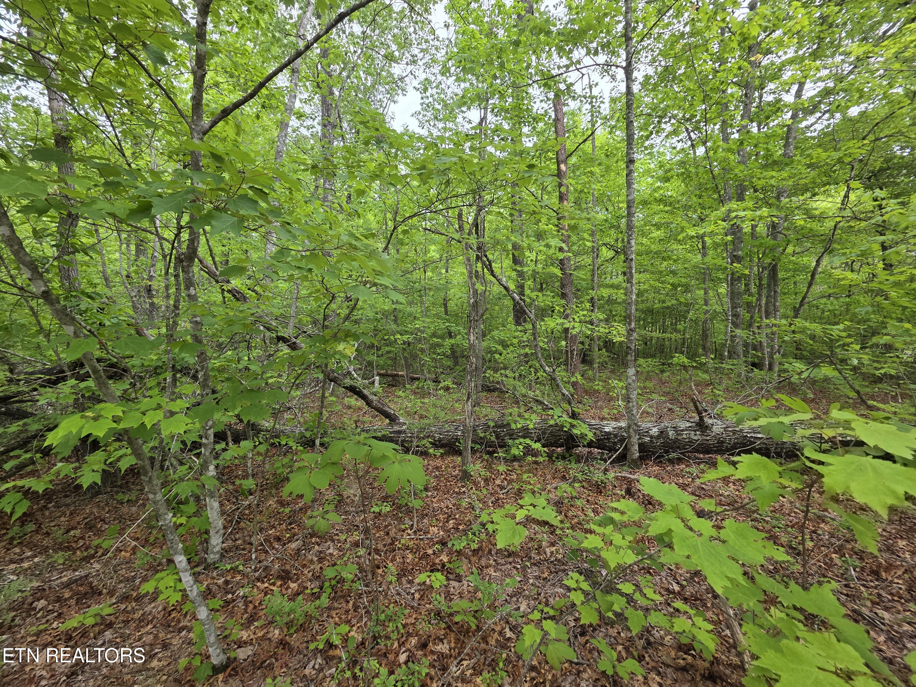 2 Cumberland Lakes Drive Monterey TN 38574
