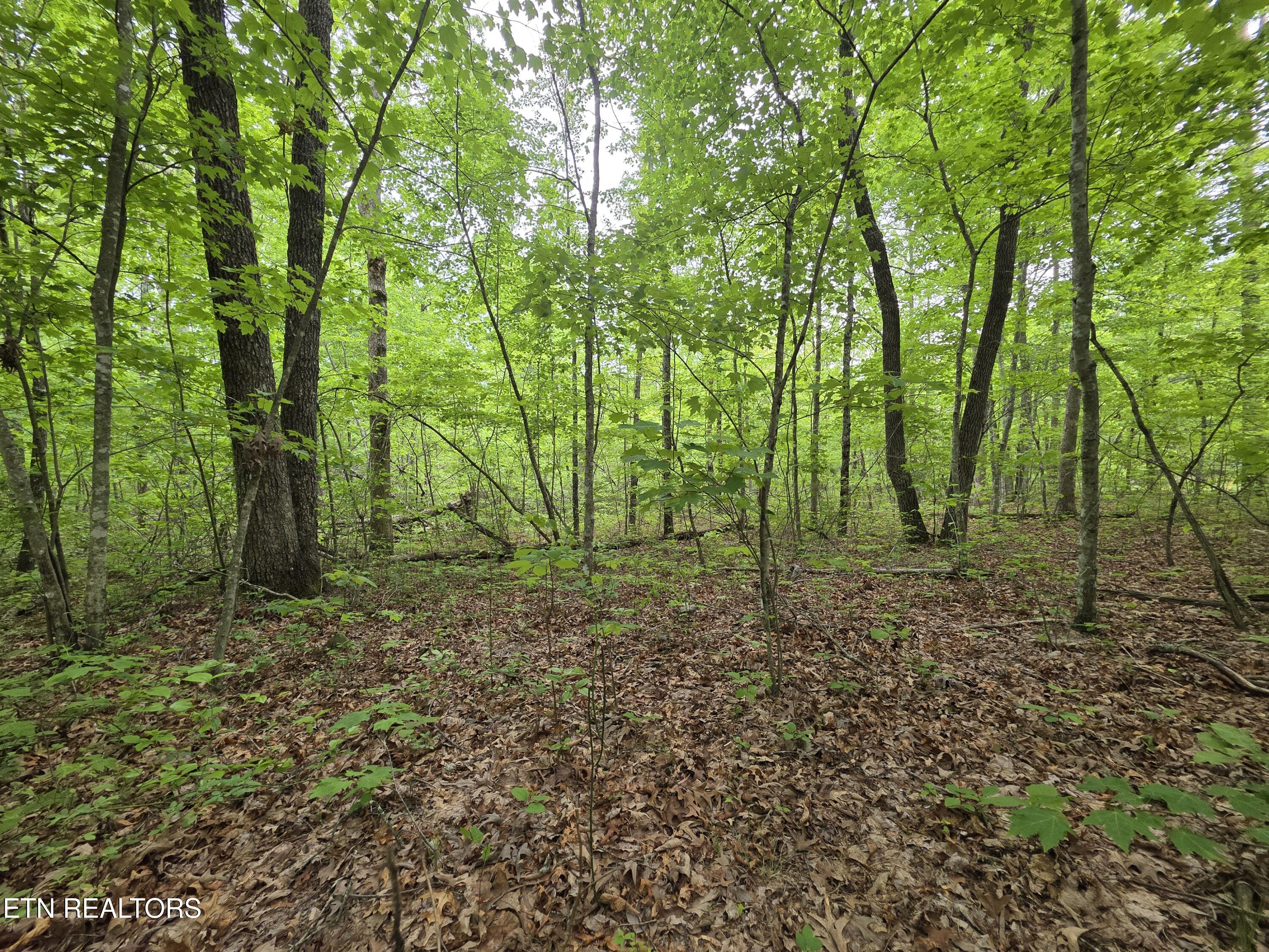 2 Cumberland Lakes Drive Monterey TN 38574