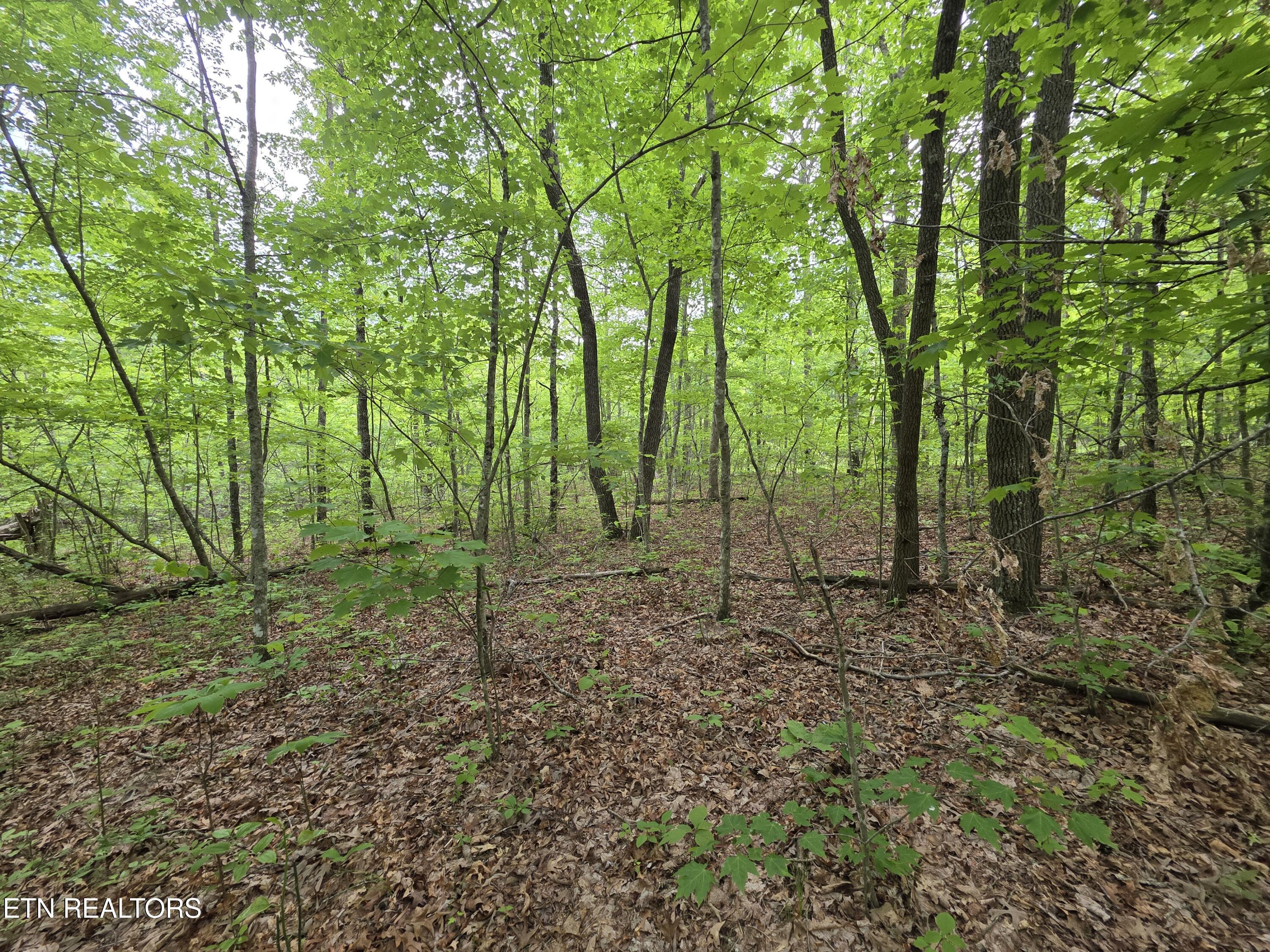 2 Cumberland Lakes Drive Monterey TN 38574