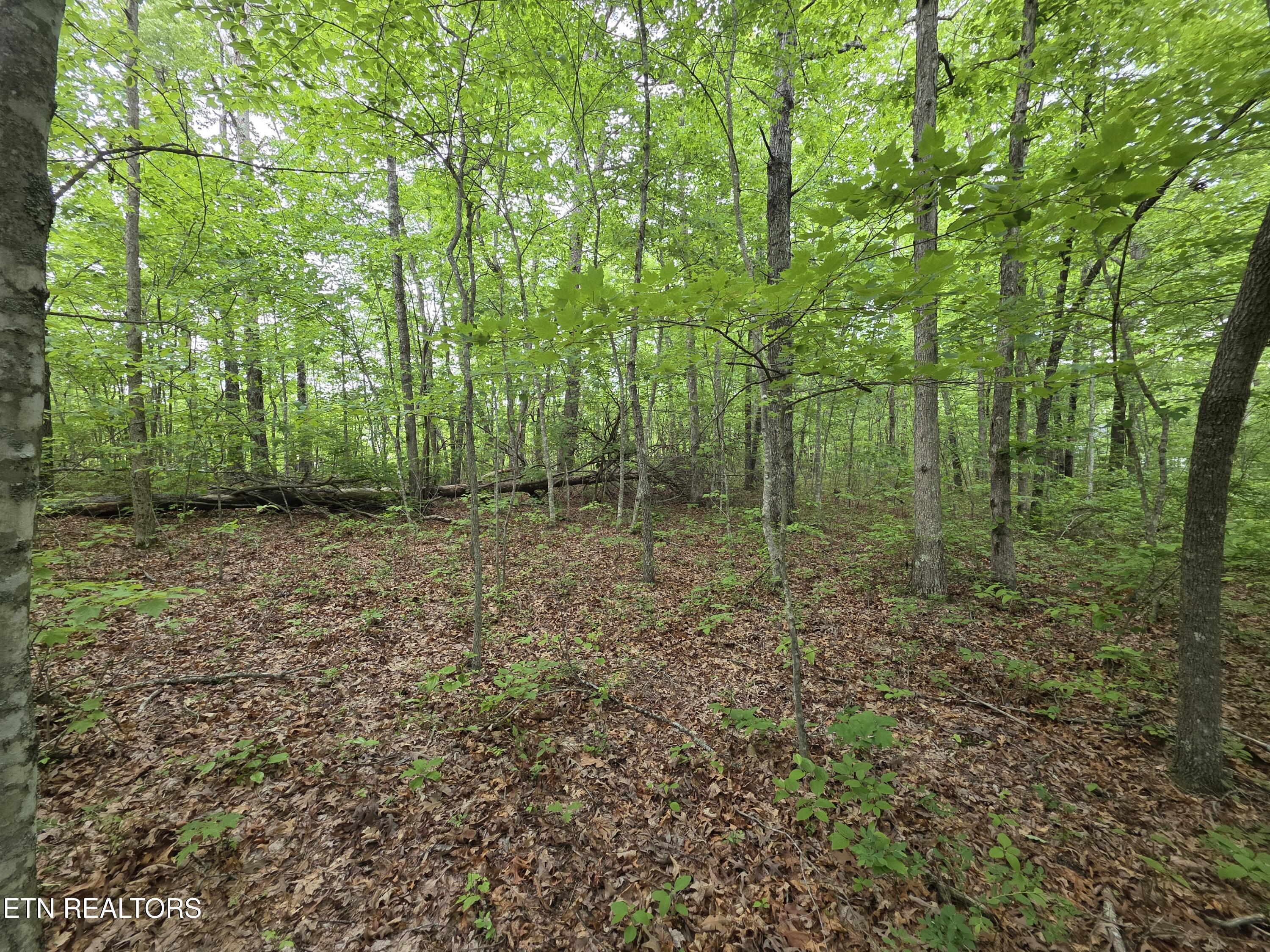 2 Cumberland Lakes Drive Monterey TN 38574
