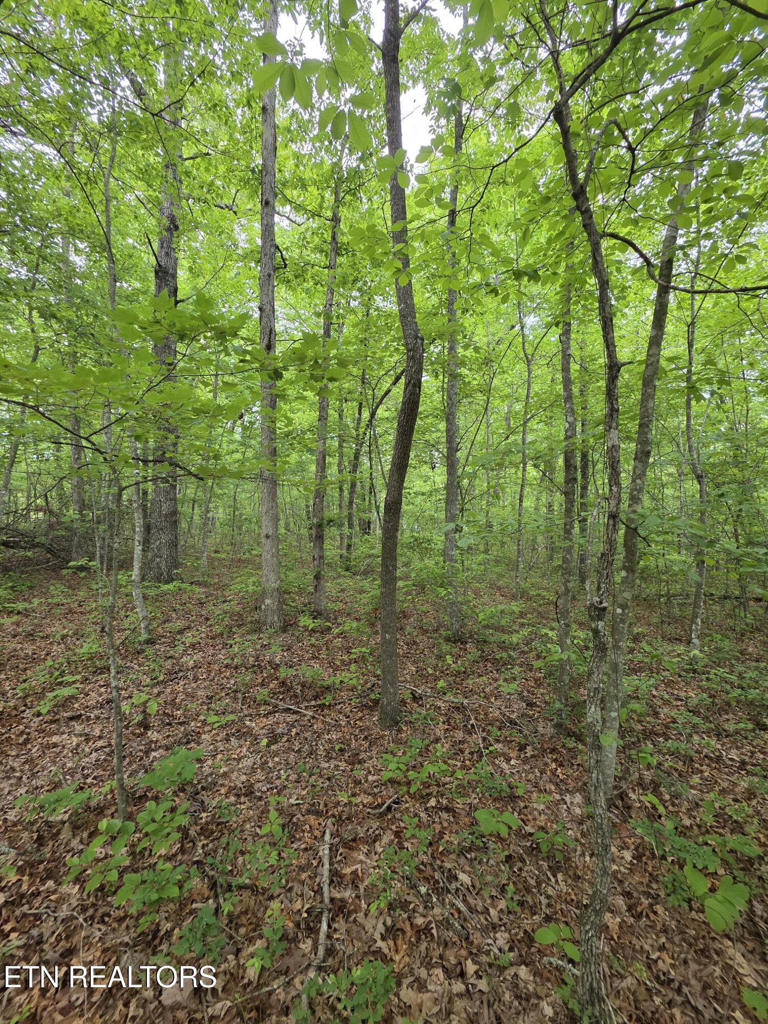 2 Cumberland Lakes Drive Monterey TN 38574