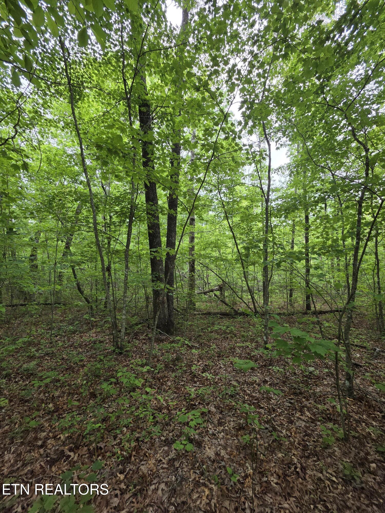2 Cumberland Lakes Drive Monterey TN 38574