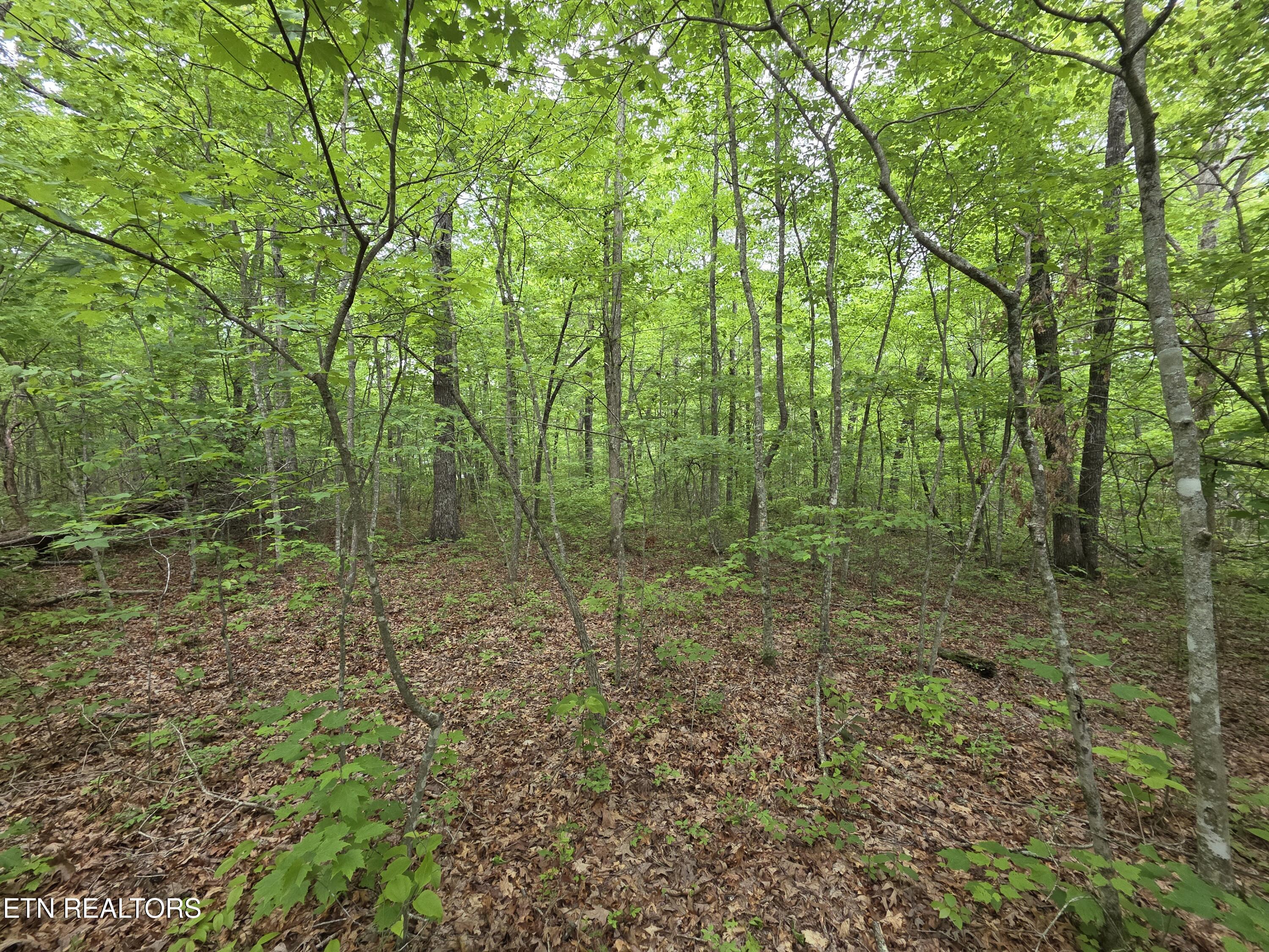 2 Cumberland Lakes Drive Monterey TN 38574