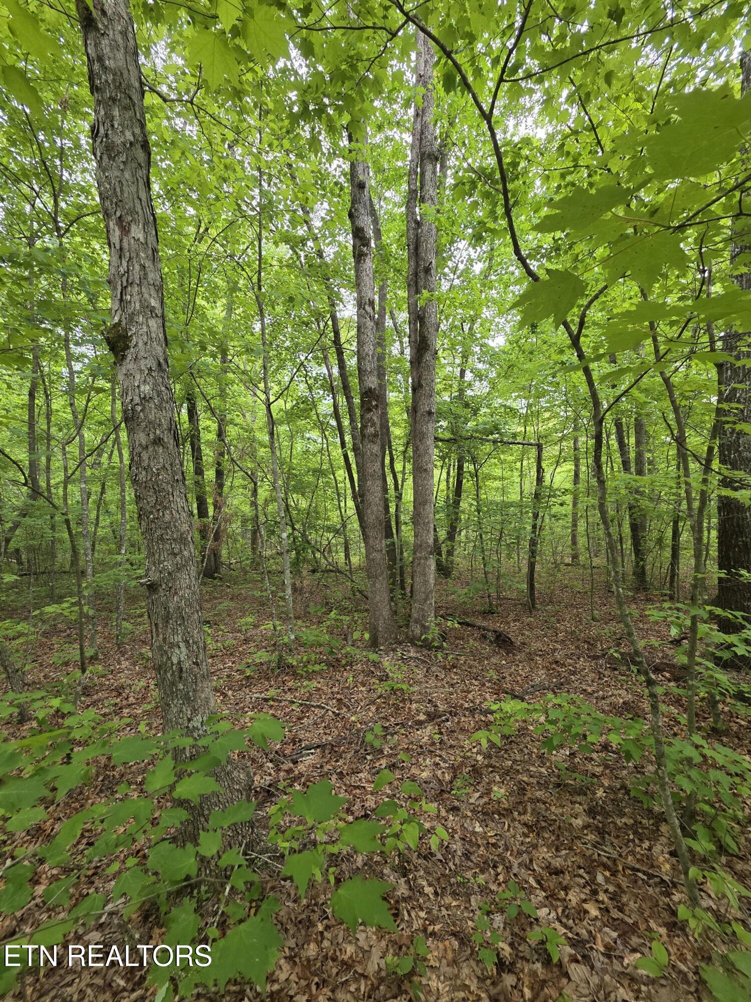2 Cumberland Lakes Drive Monterey TN 38574