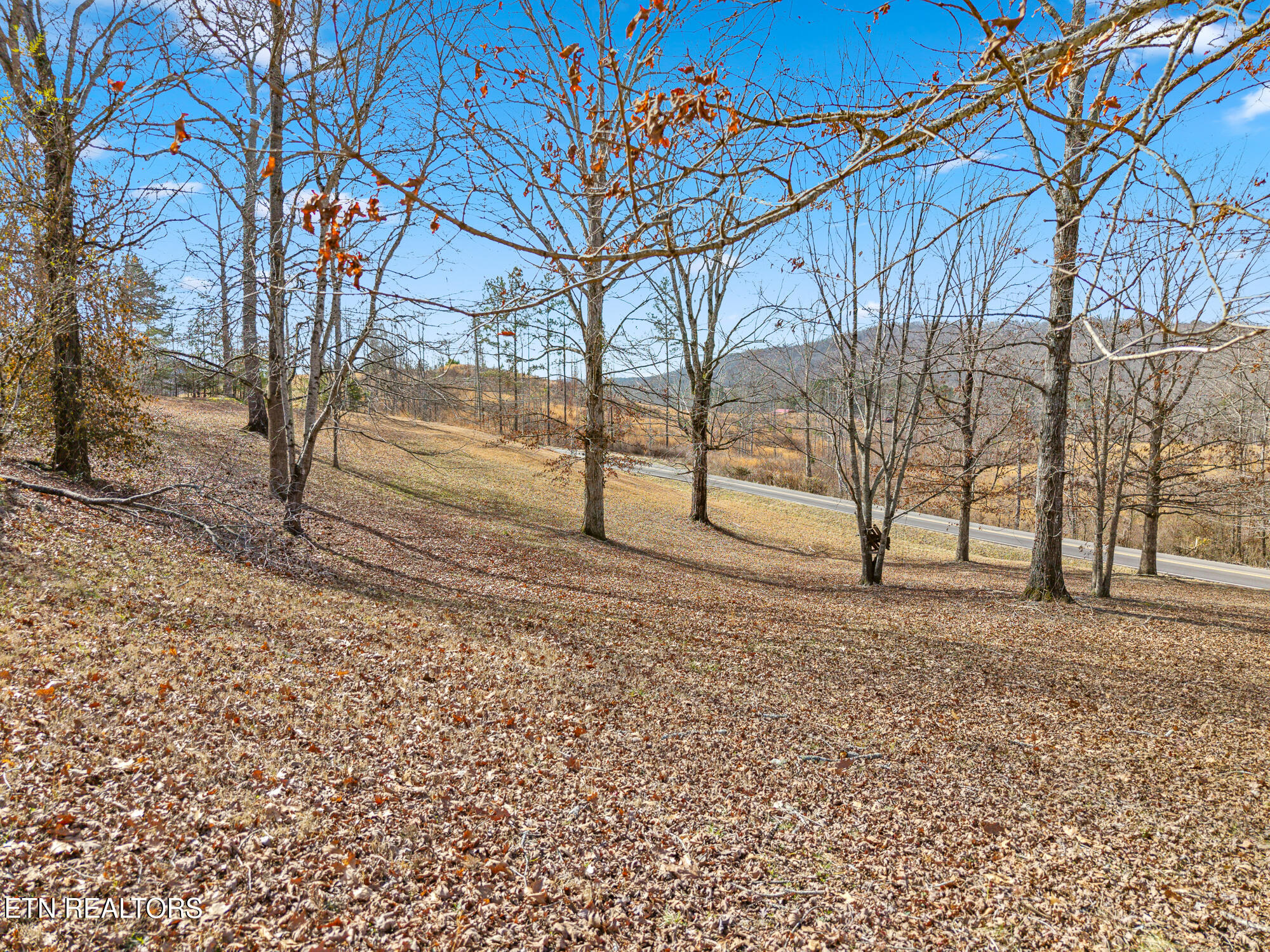 454 County Road 188 Decatur TN 37322