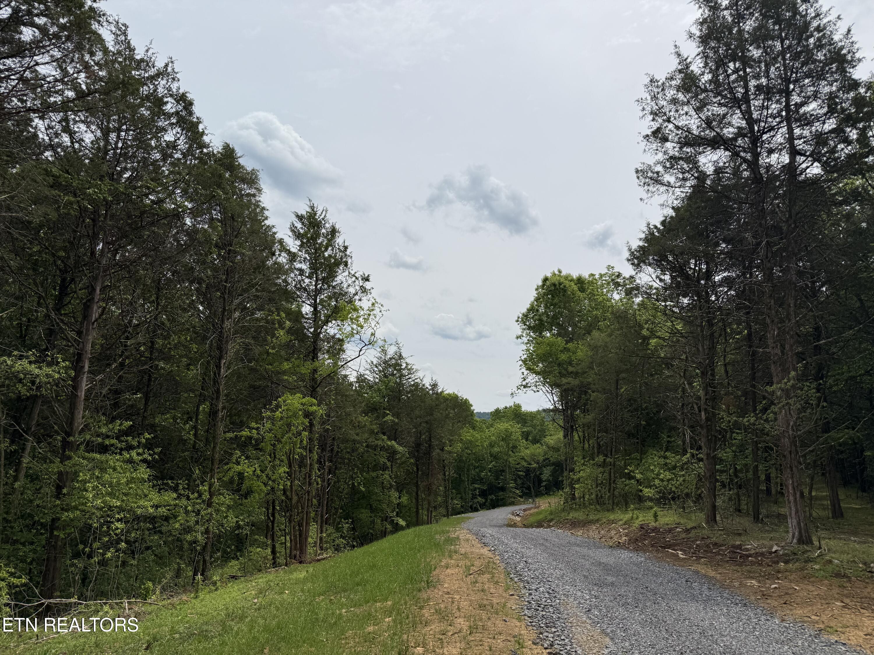 0 Baugh Hollow Lane Gainesboro TN 38562