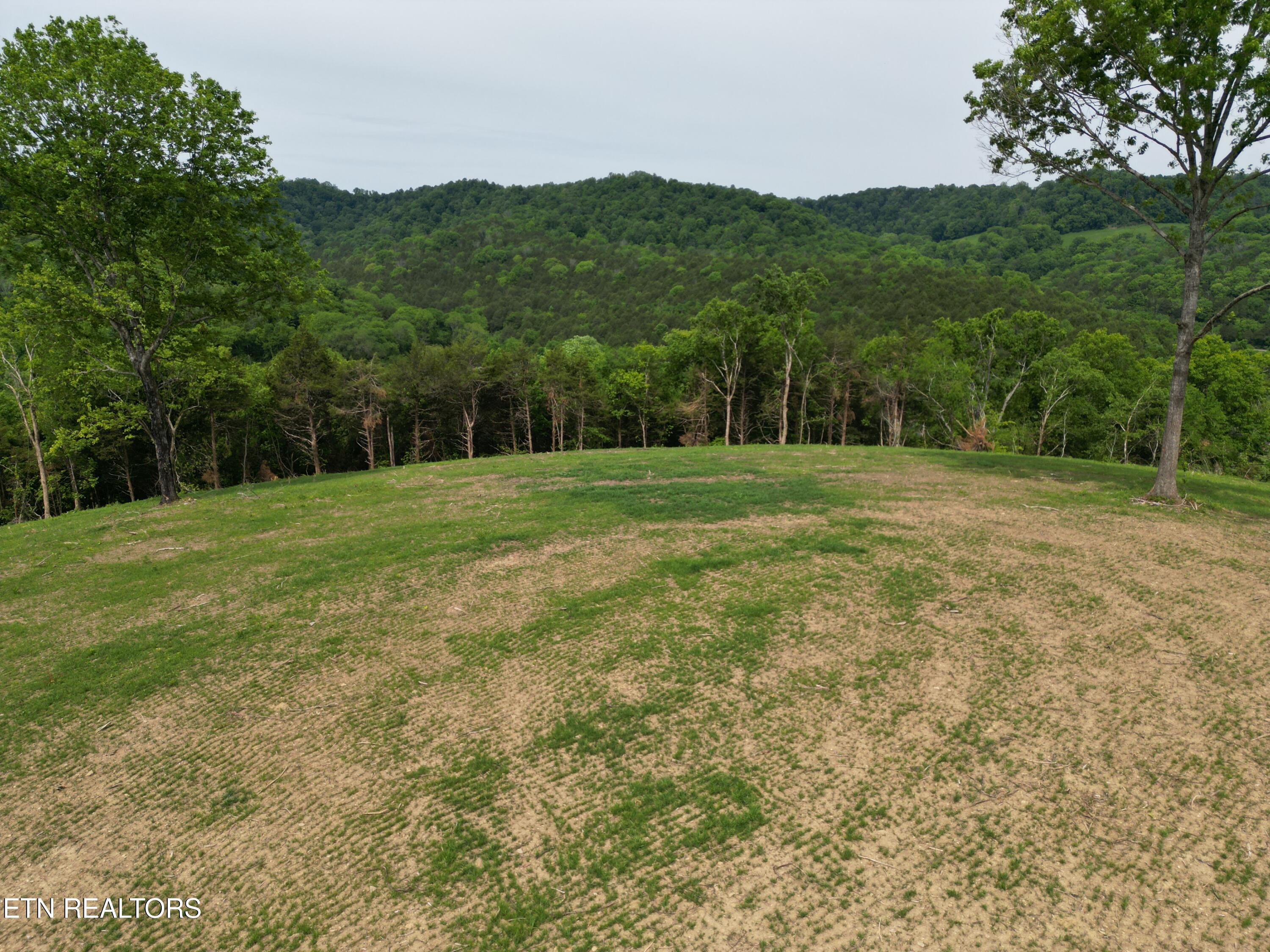 0 Baugh Hollow Lane Gainesboro TN 38562