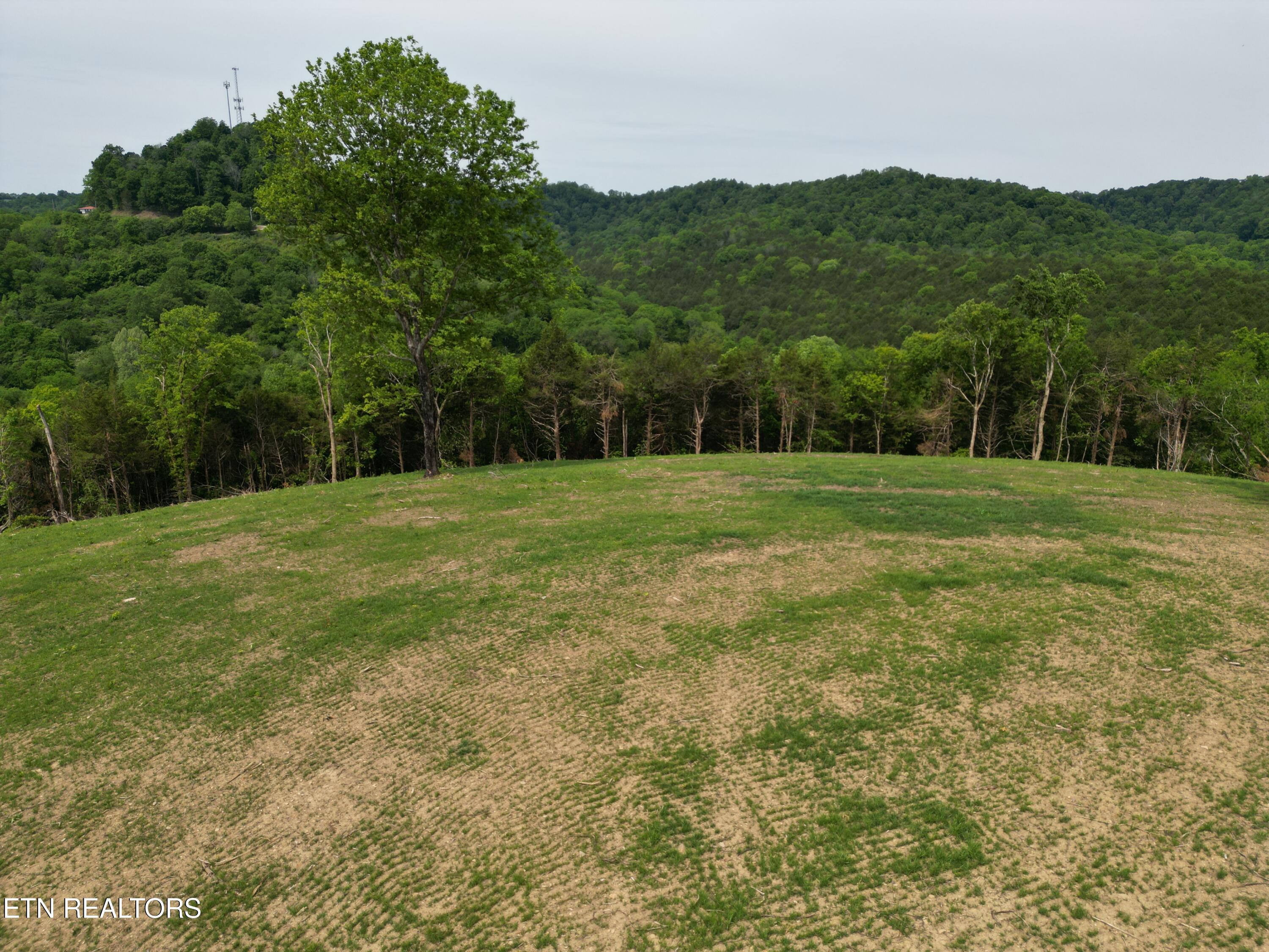 0 Baugh Hollow Lane Gainesboro TN 38562