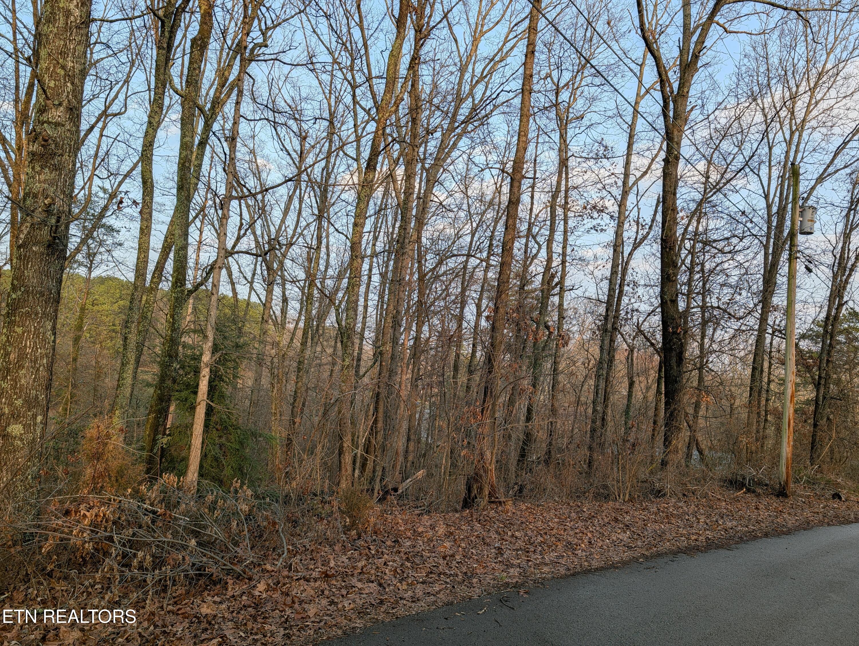 00 Pine Breeze Circle Rockwood TN 37854