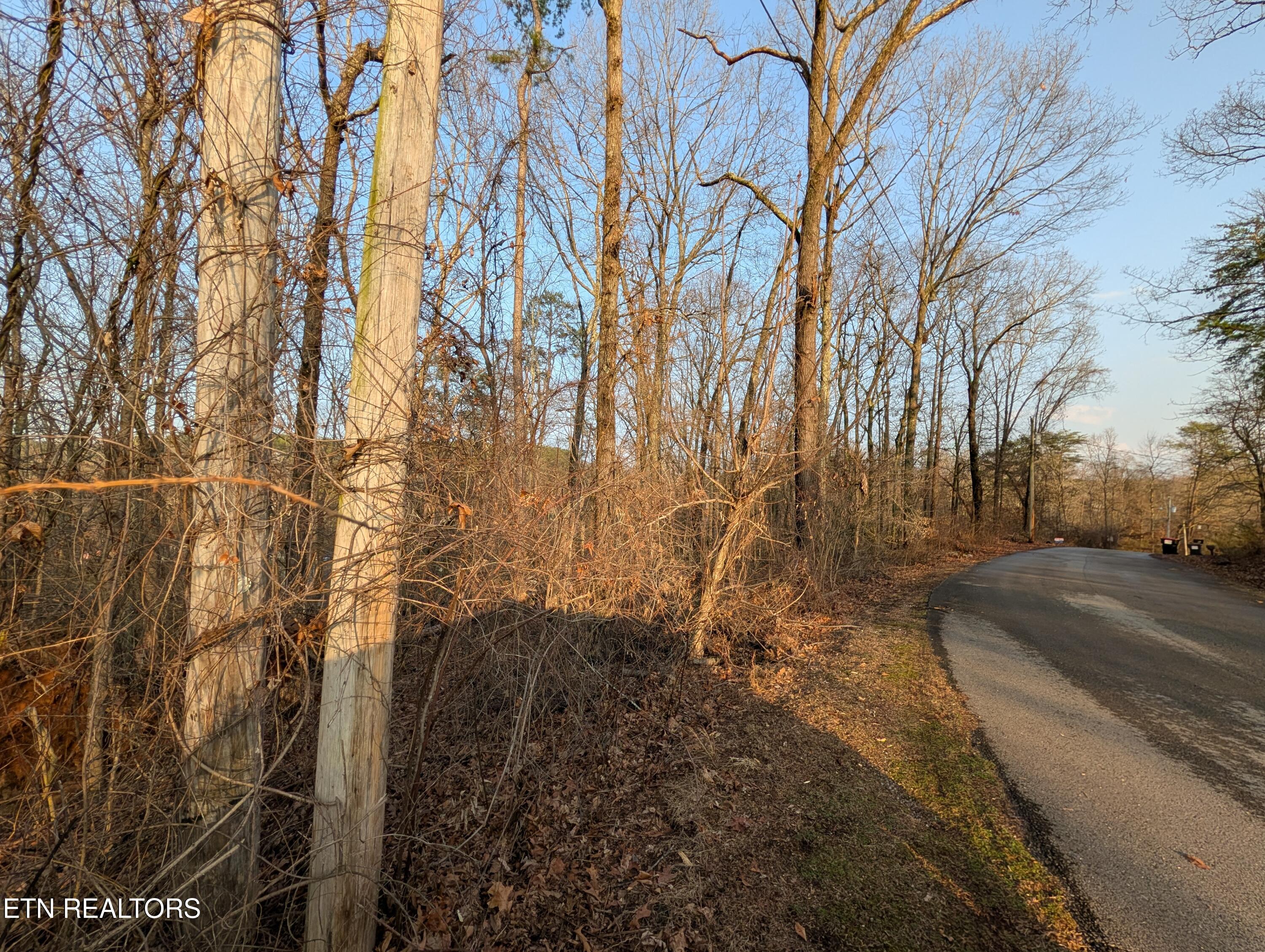 00 Pine Breeze Circle Rockwood TN 37854