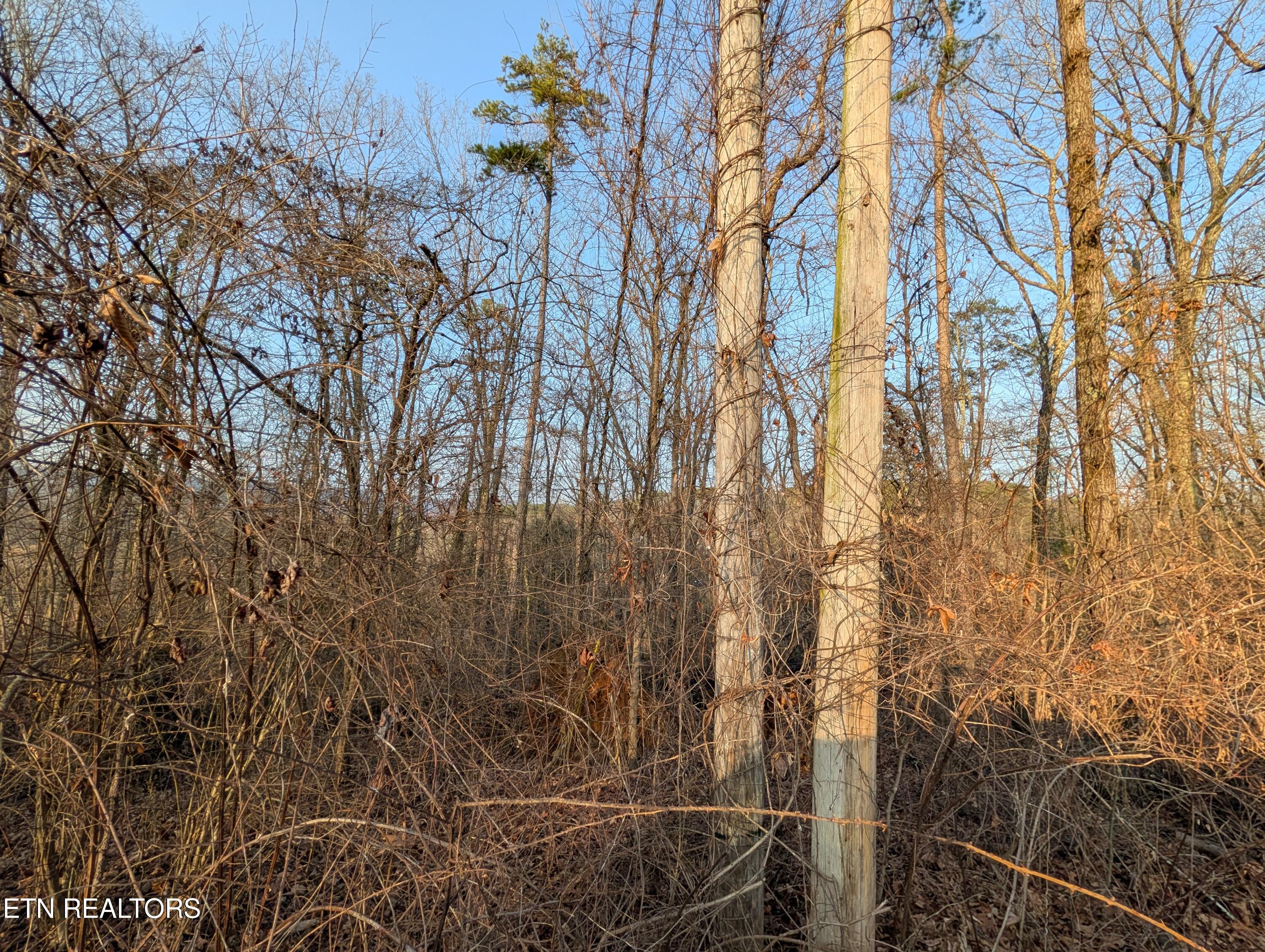 00 Pine Breeze Circle Rockwood TN 37854