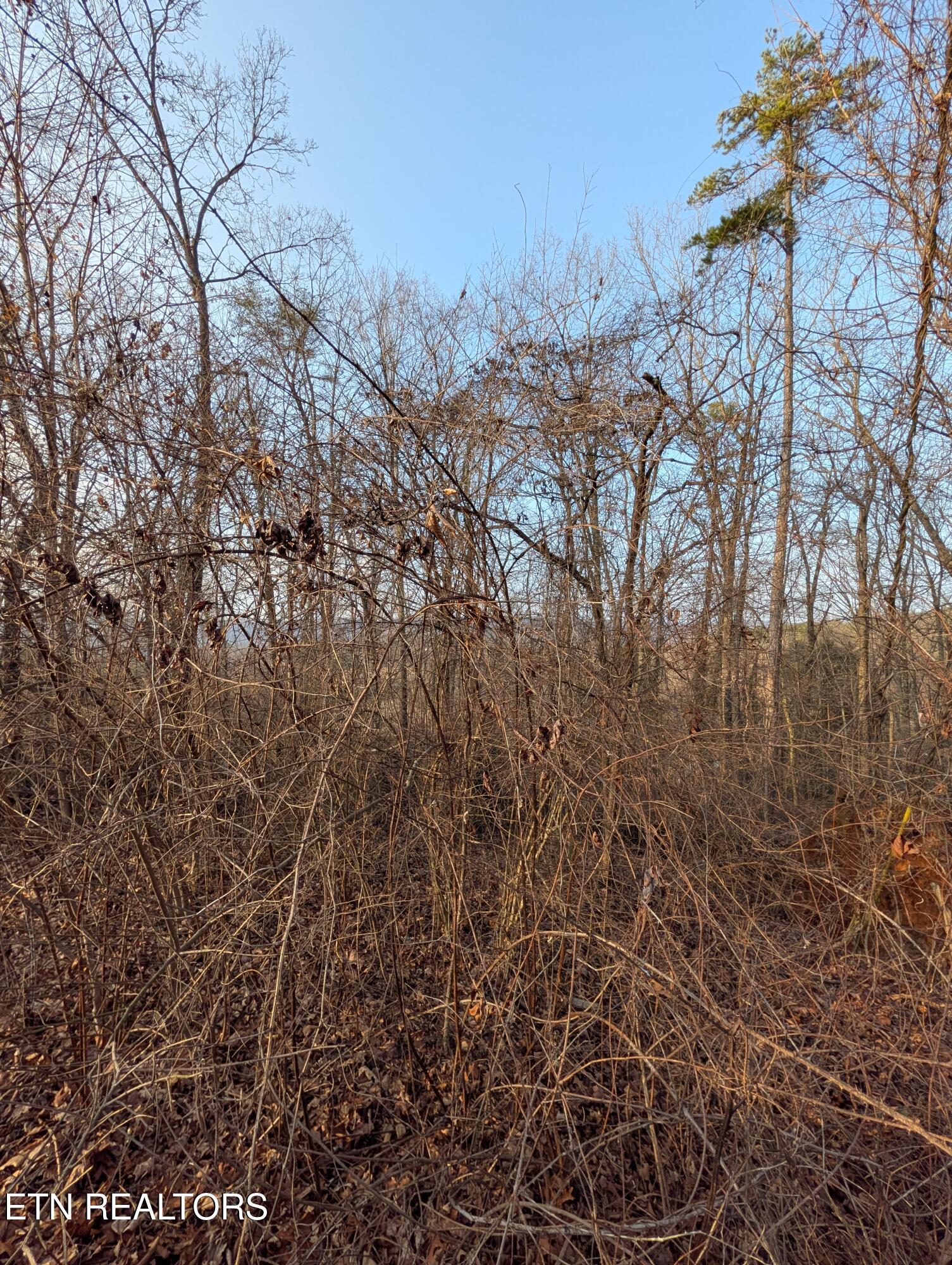 00 Pine Breeze Circle Rockwood TN 37854
