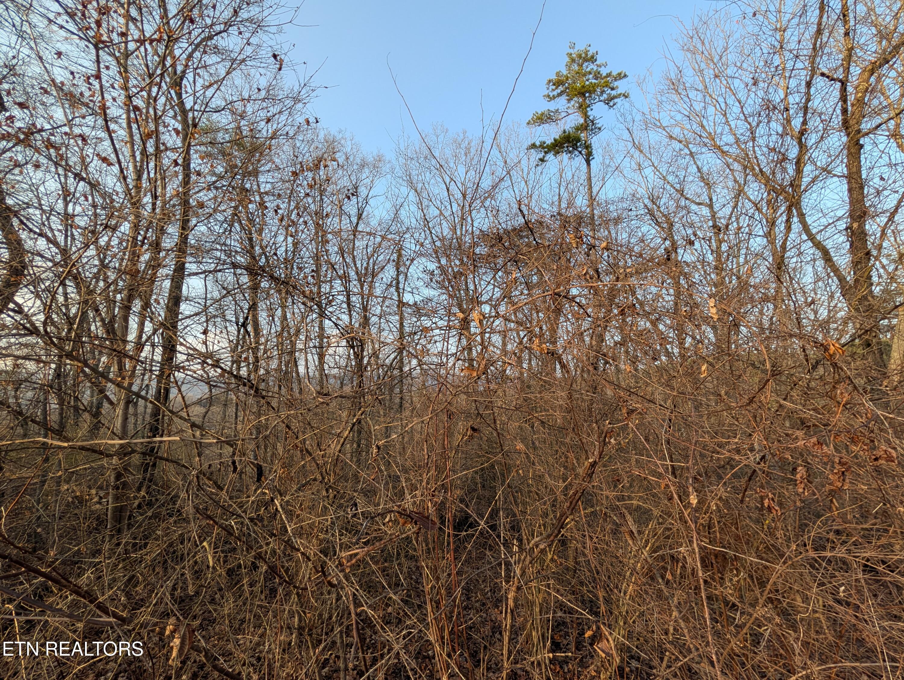 00 Pine Breeze Circle Rockwood TN 37854