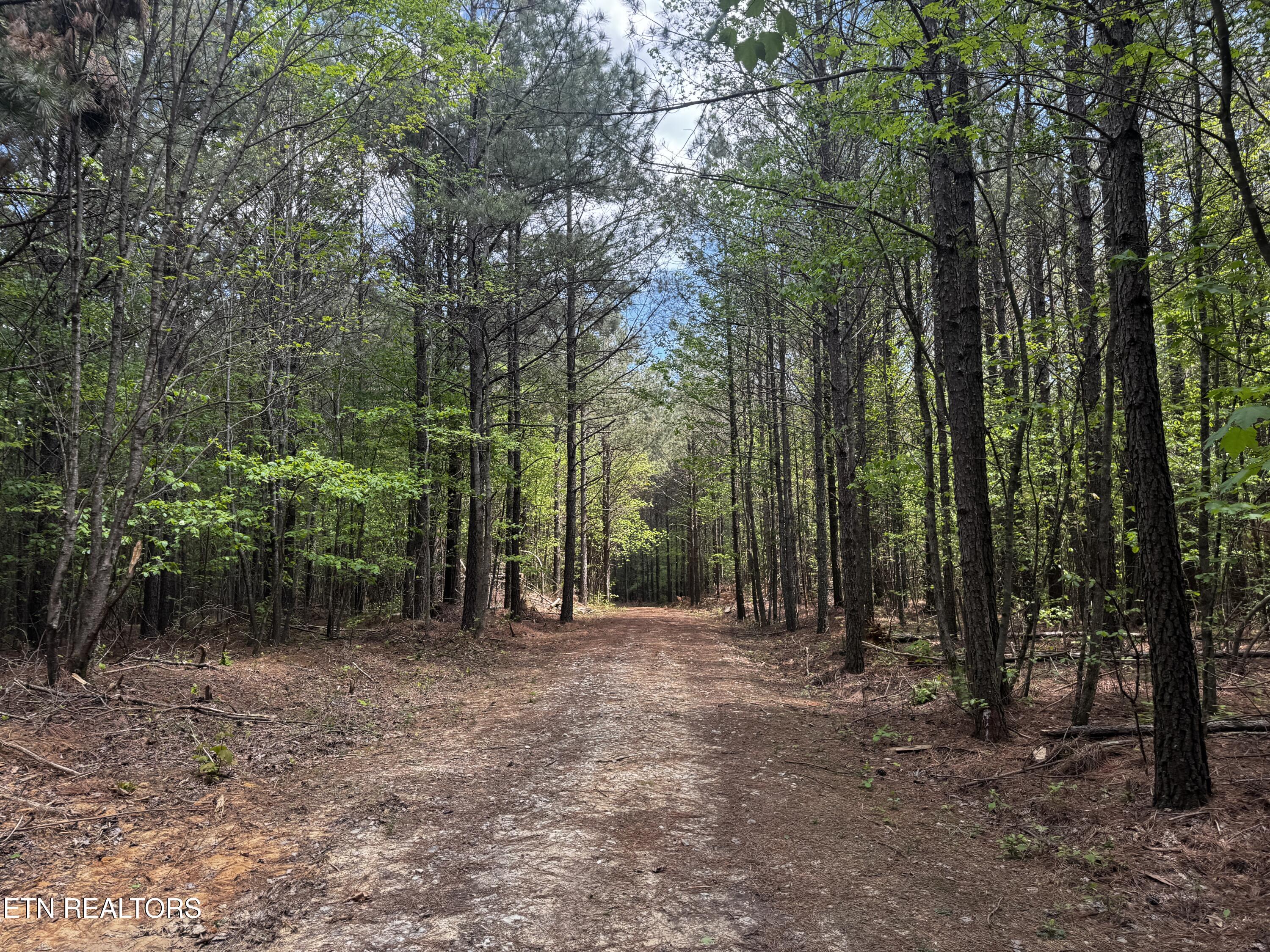 Mowbray Pike Soddy-daisy TN 37379