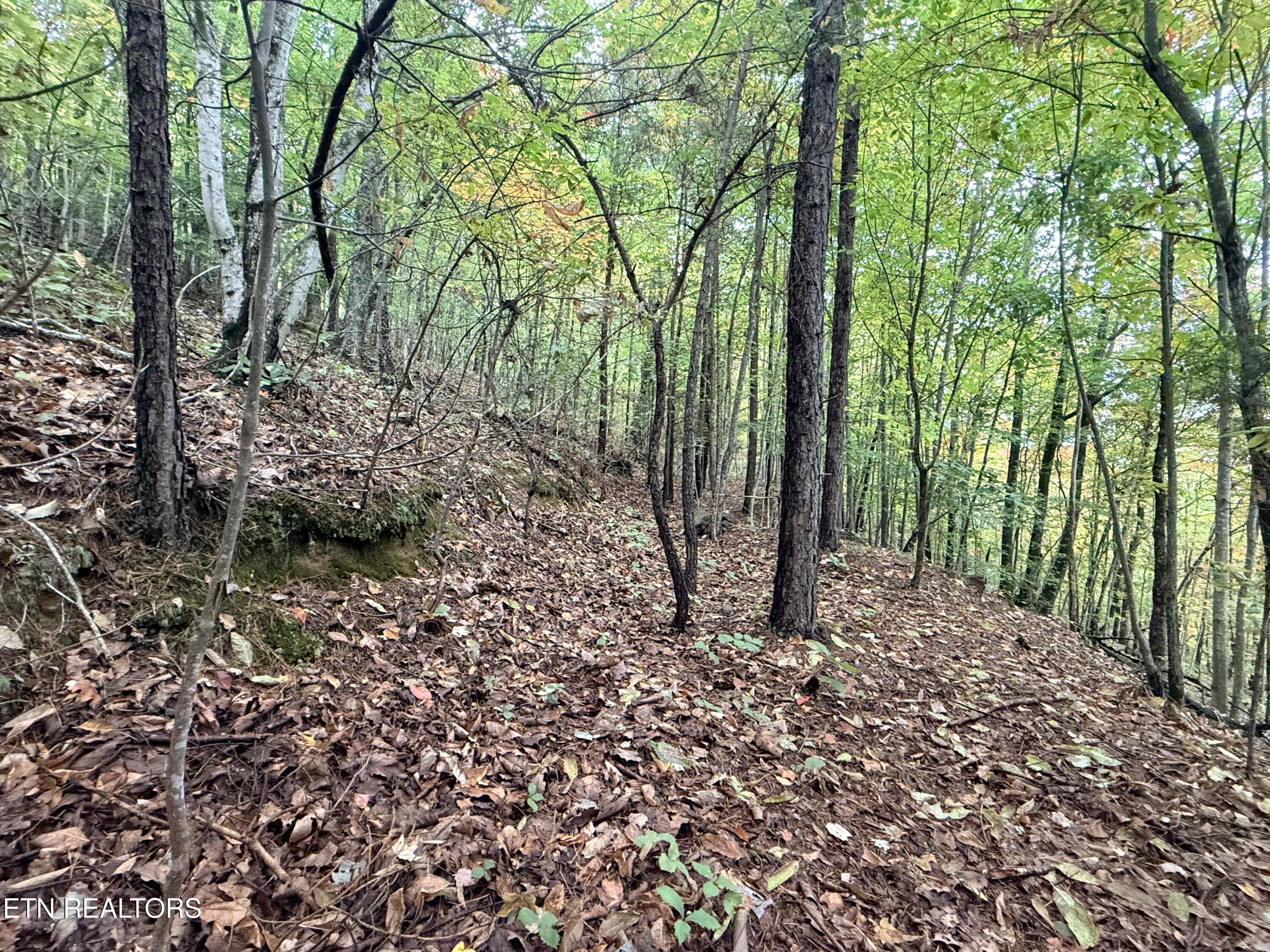 Lot 192 Clinch View Road New Tazewell TN 37825