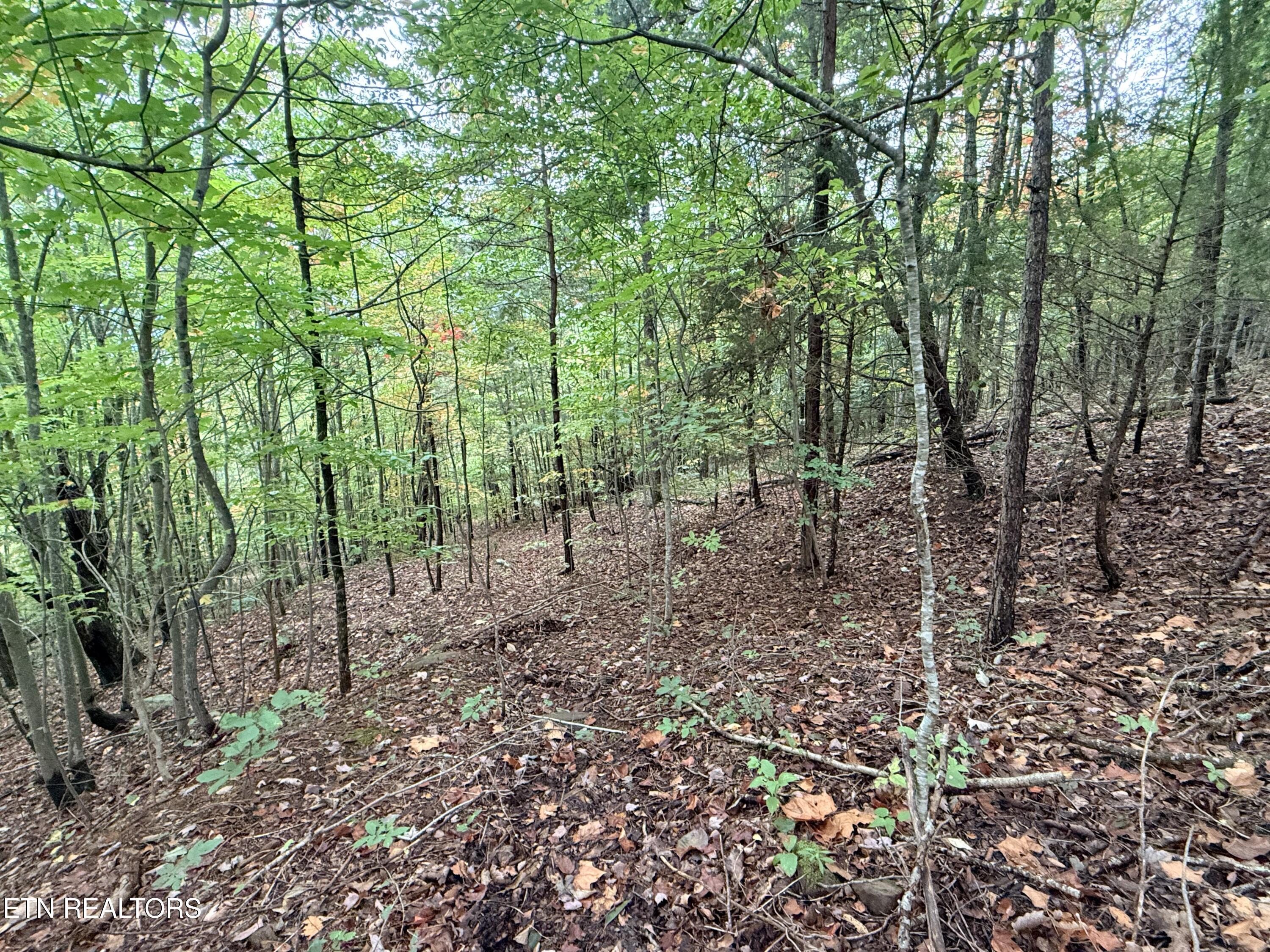 Lot 192 Clinch View Road New Tazewell TN 37825