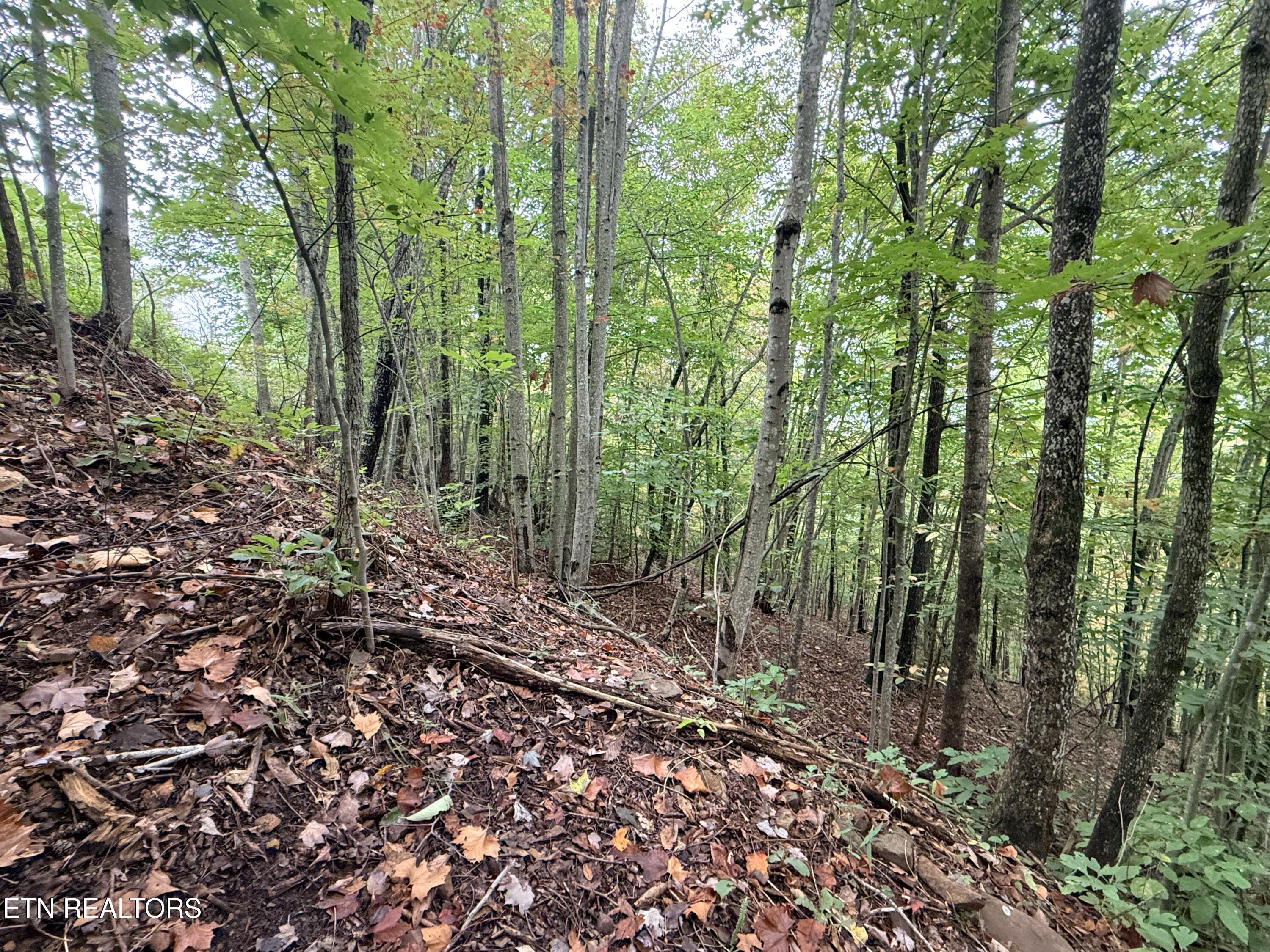 Lot 192 Clinch View Road New Tazewell TN 37825