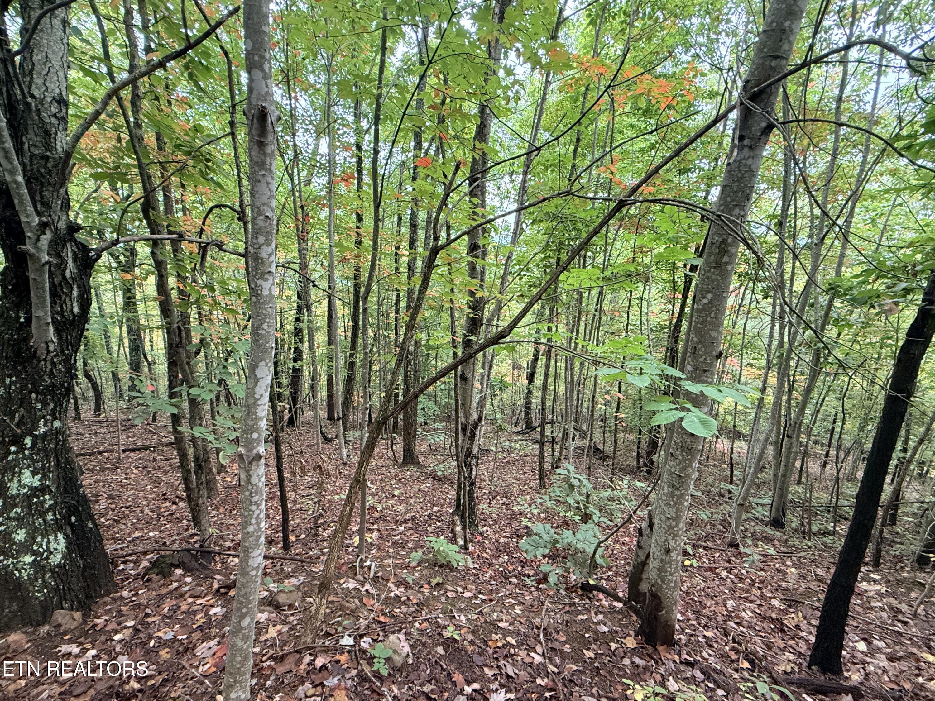 Lot 192 Clinch View Road New Tazewell TN 37825