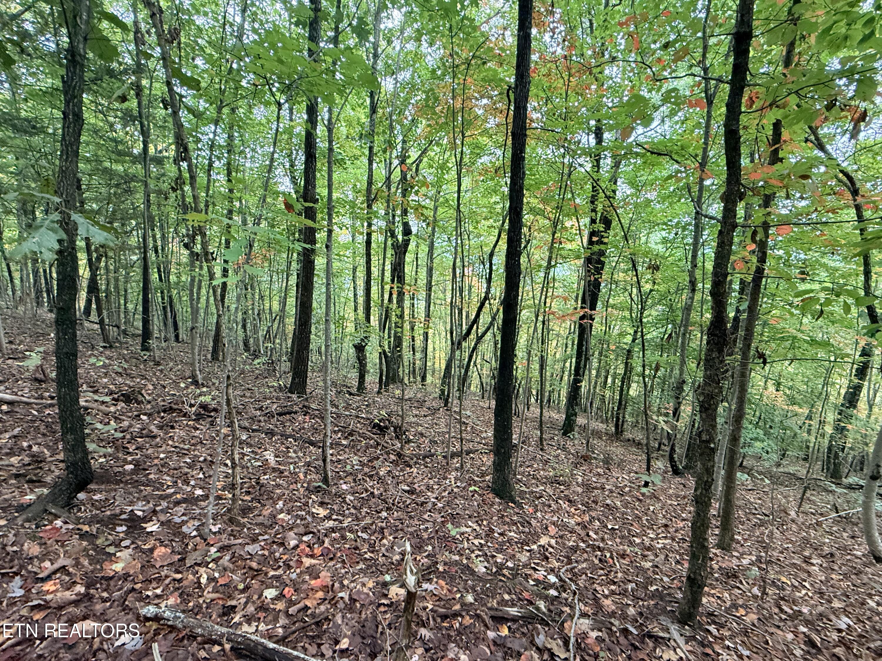 Lot 192 Clinch View Road New Tazewell TN 37825