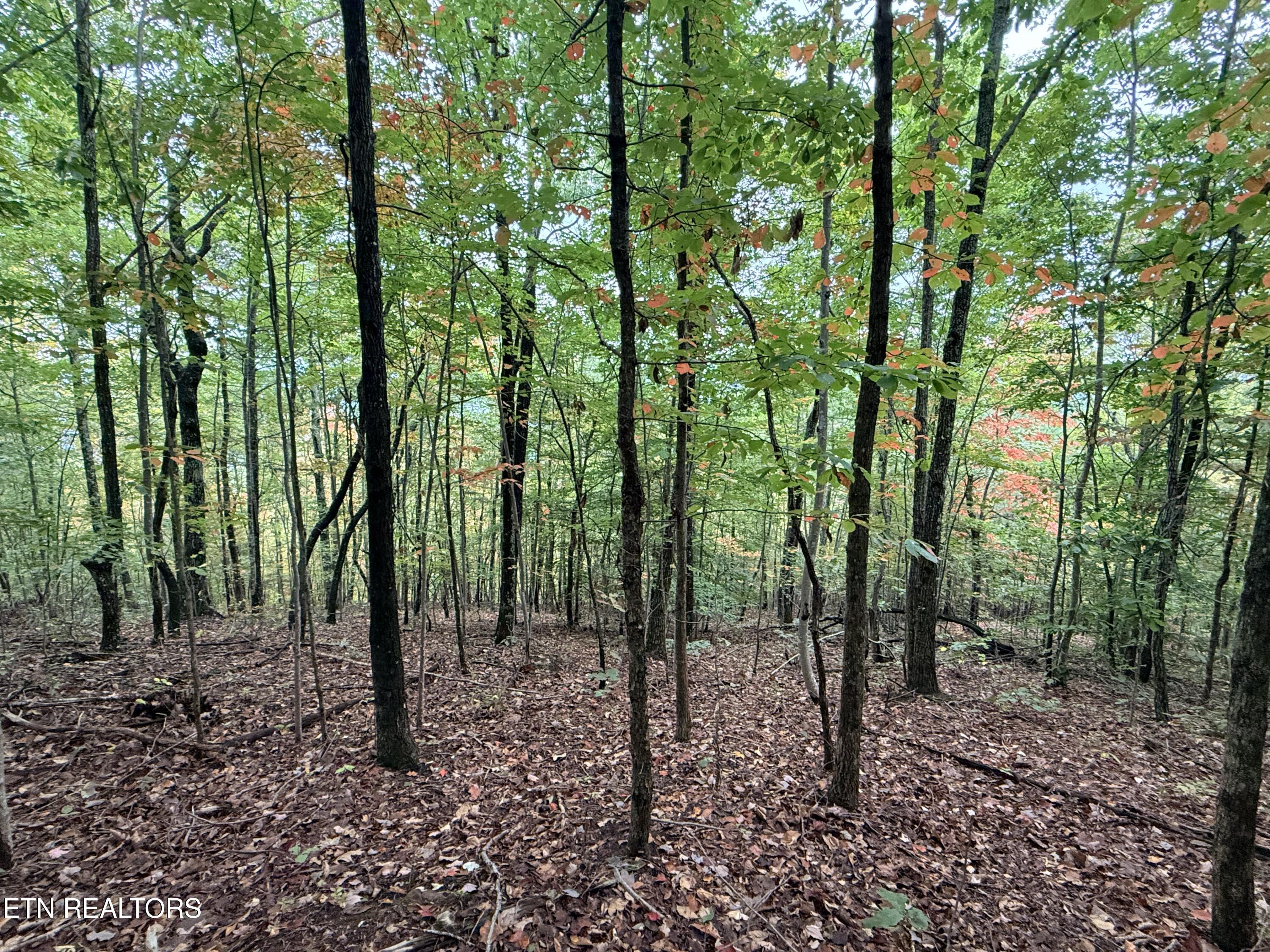 Lot 192 Clinch View Road New Tazewell TN 37825