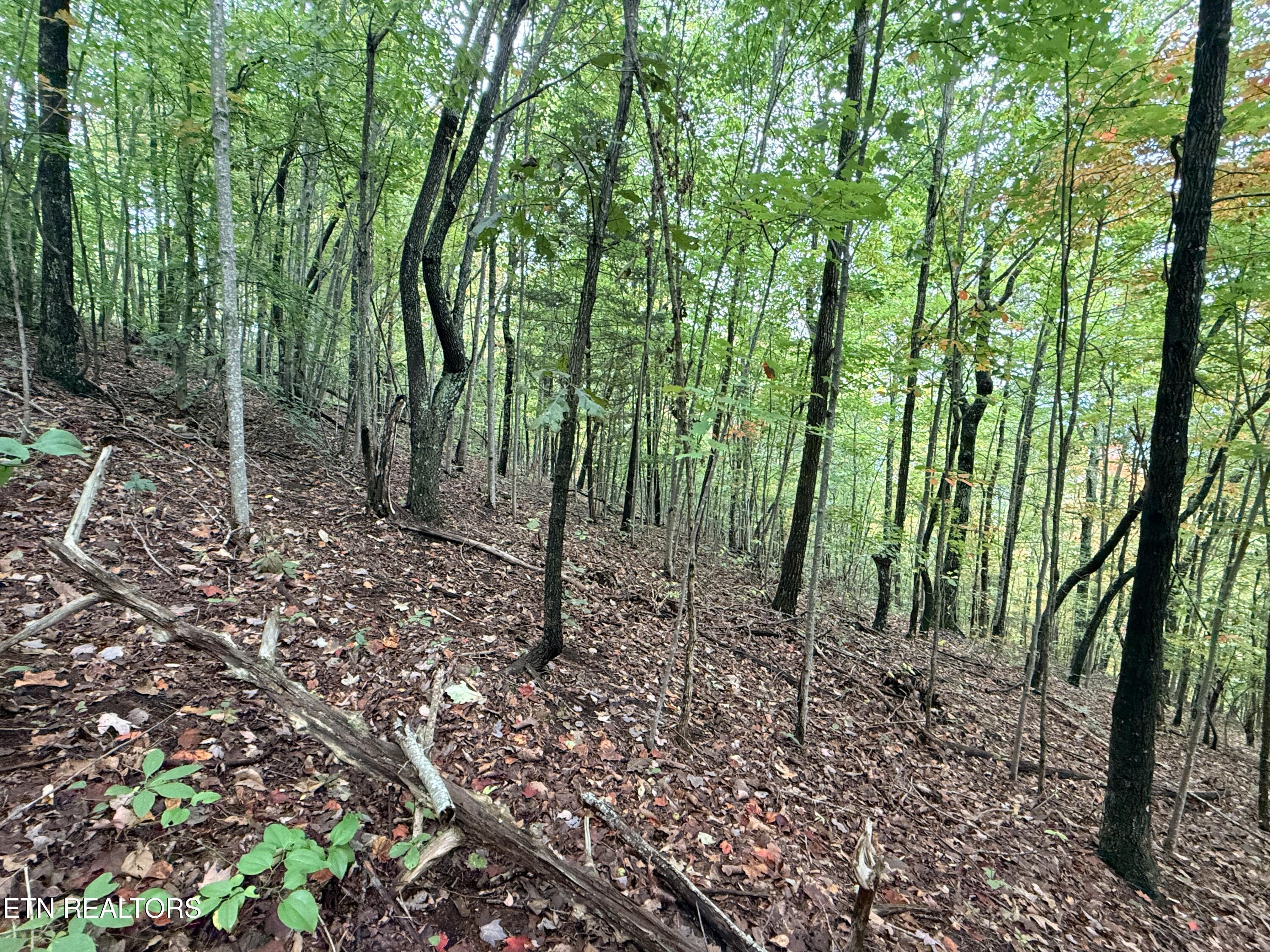 Lot 192 Clinch View Road New Tazewell TN 37825