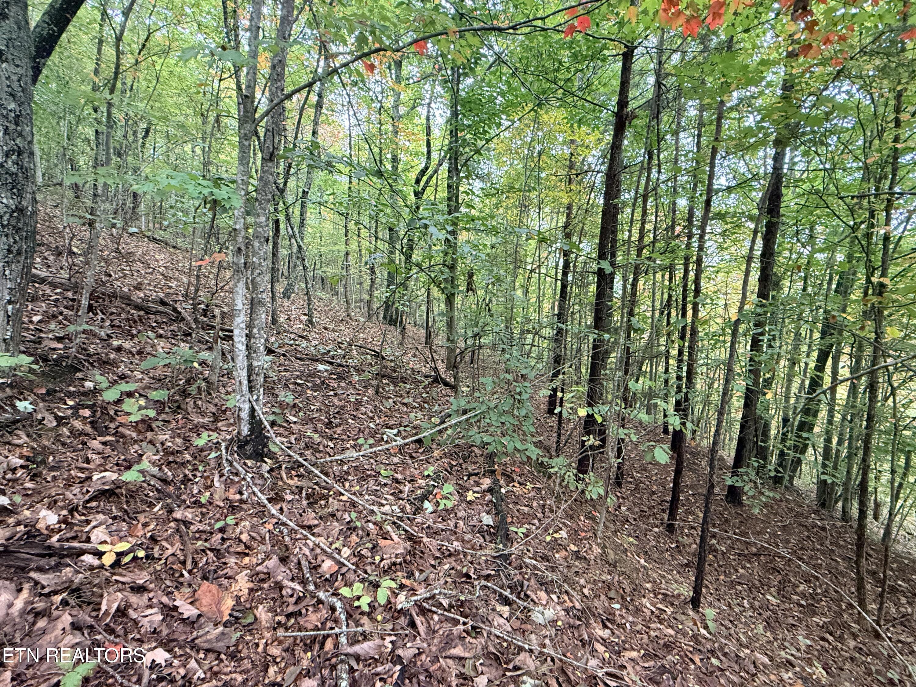 Lot 192 Clinch View Road New Tazewell TN 37825