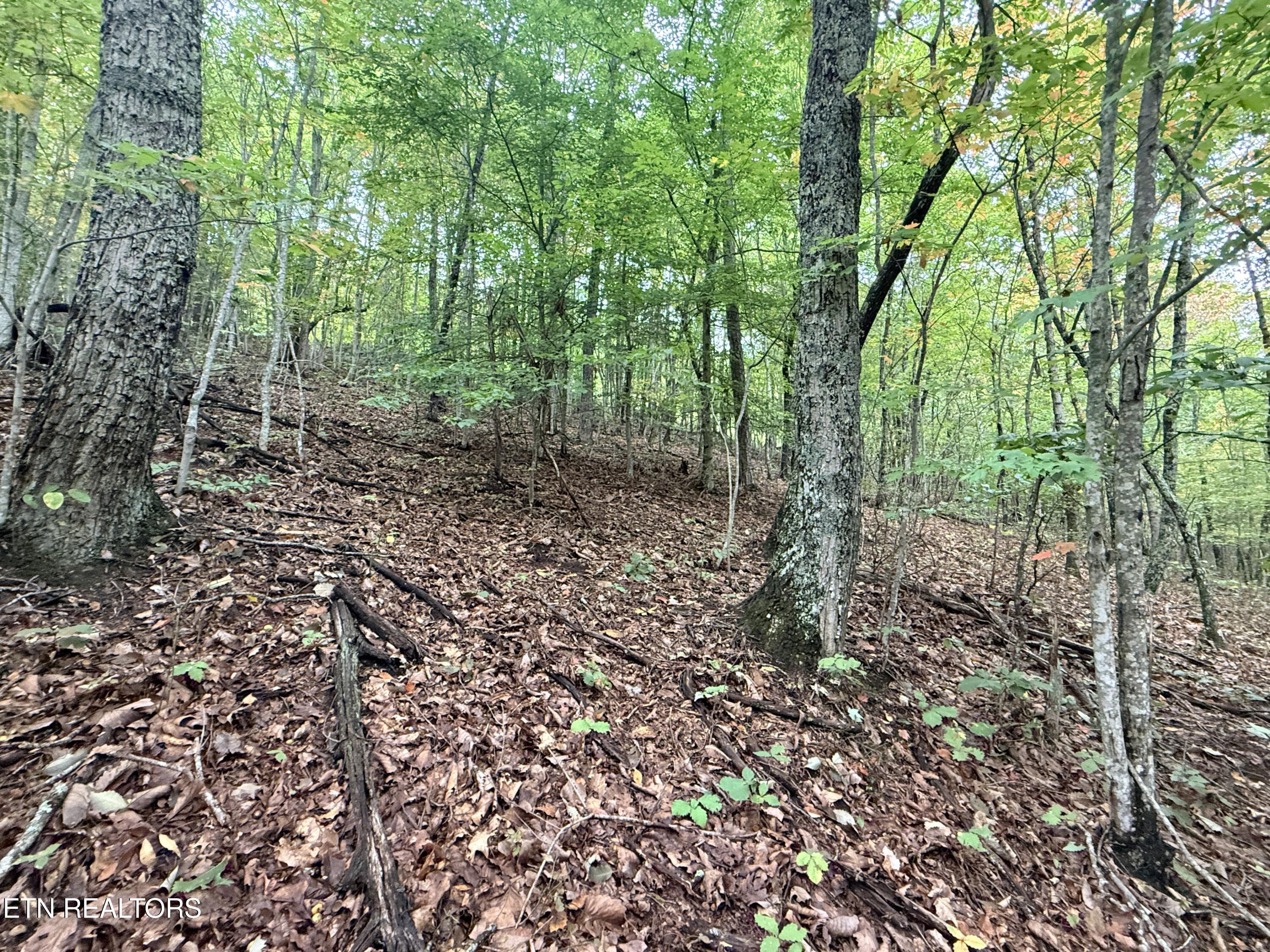 Lot 192 Clinch View Road New Tazewell TN 37825